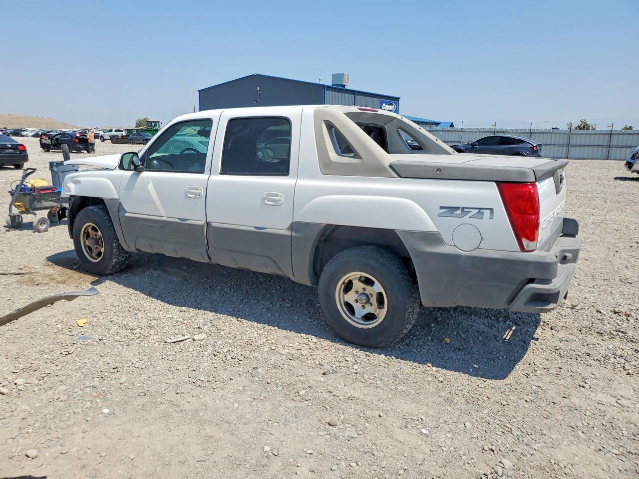 2002 Chevrolet Avalanche K1500 Белый vin: 3GNEK13T52G119602