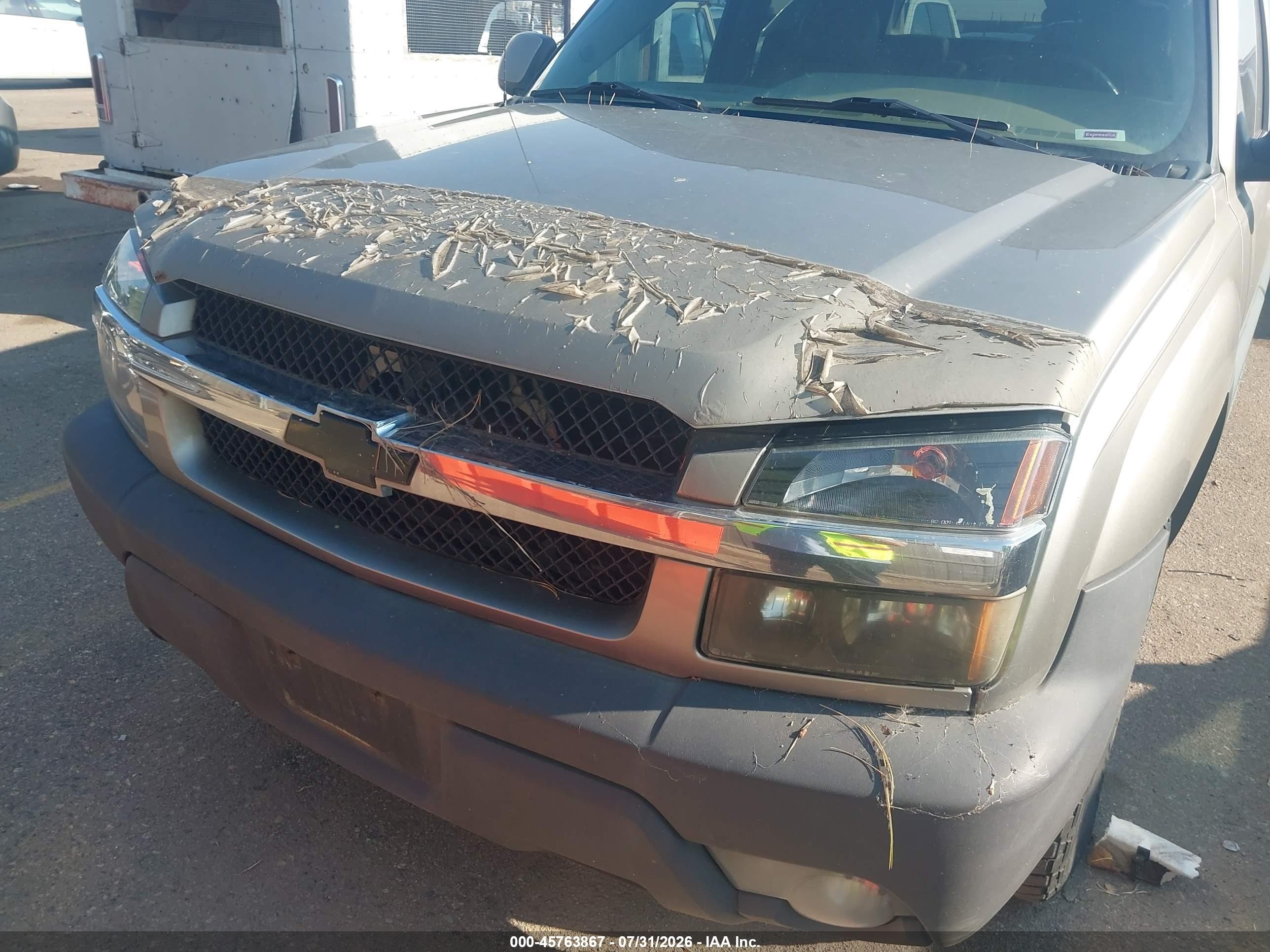 2003 Chevrolet Avalanche 1500   Tan vin: 3GNEK13T83G222191