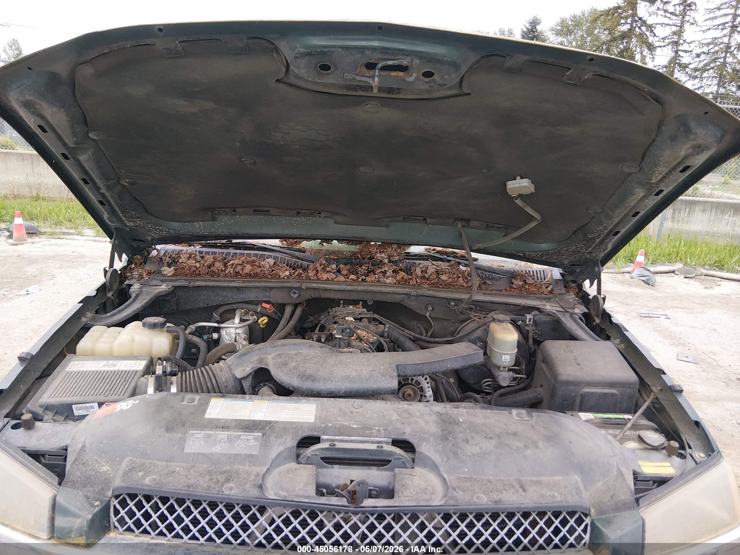 2002 Chevrolet Avalanche 1500   Зеленый vin: 3GNEK13TX2G226922
