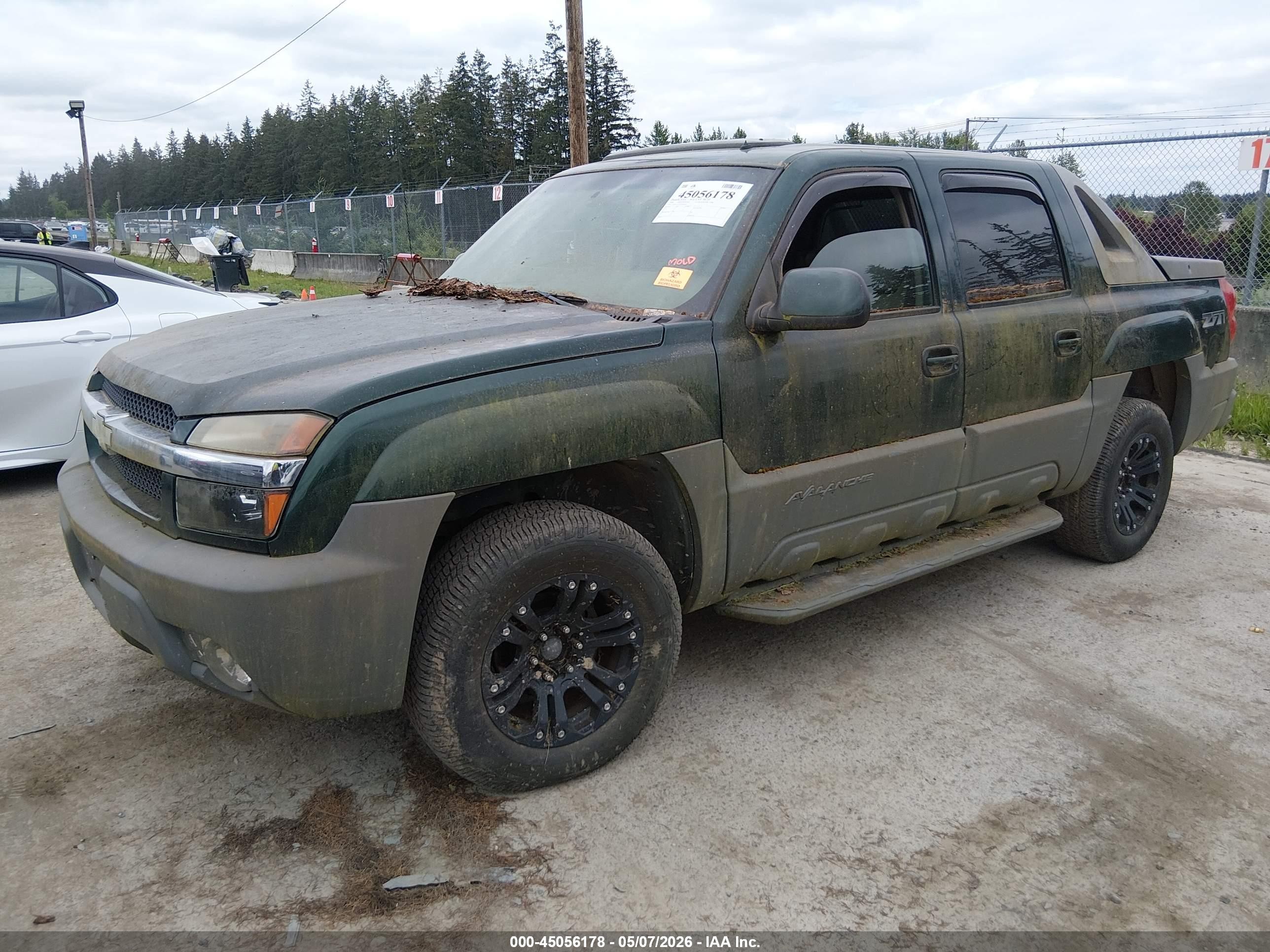 2002 Chevrolet Avalanche 1500   Зеленый vin: 3GNEK13TX2G226922
