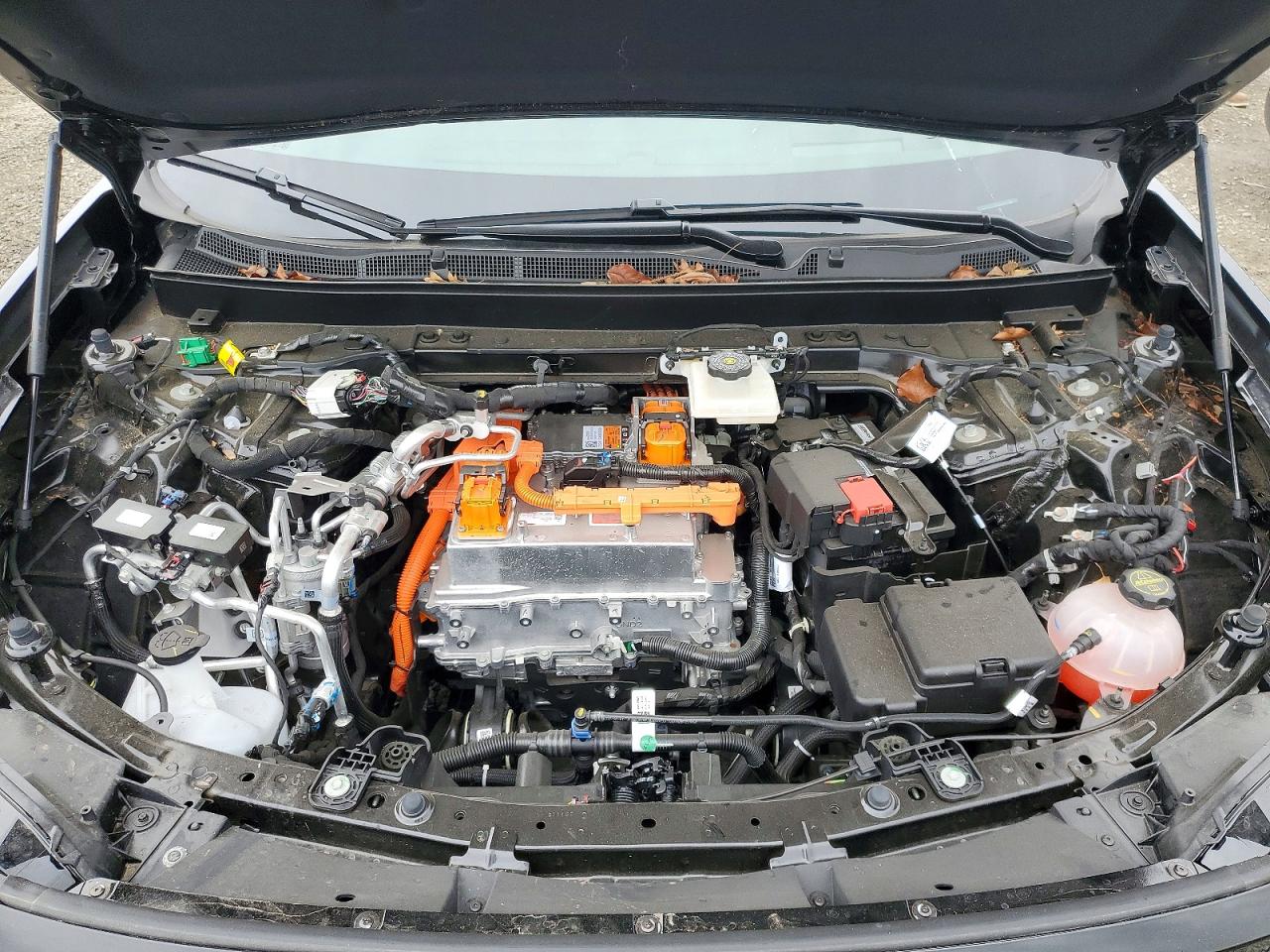 2024 Honda Prologue Elite Black vin: 3GPKHZRJ4RS523771