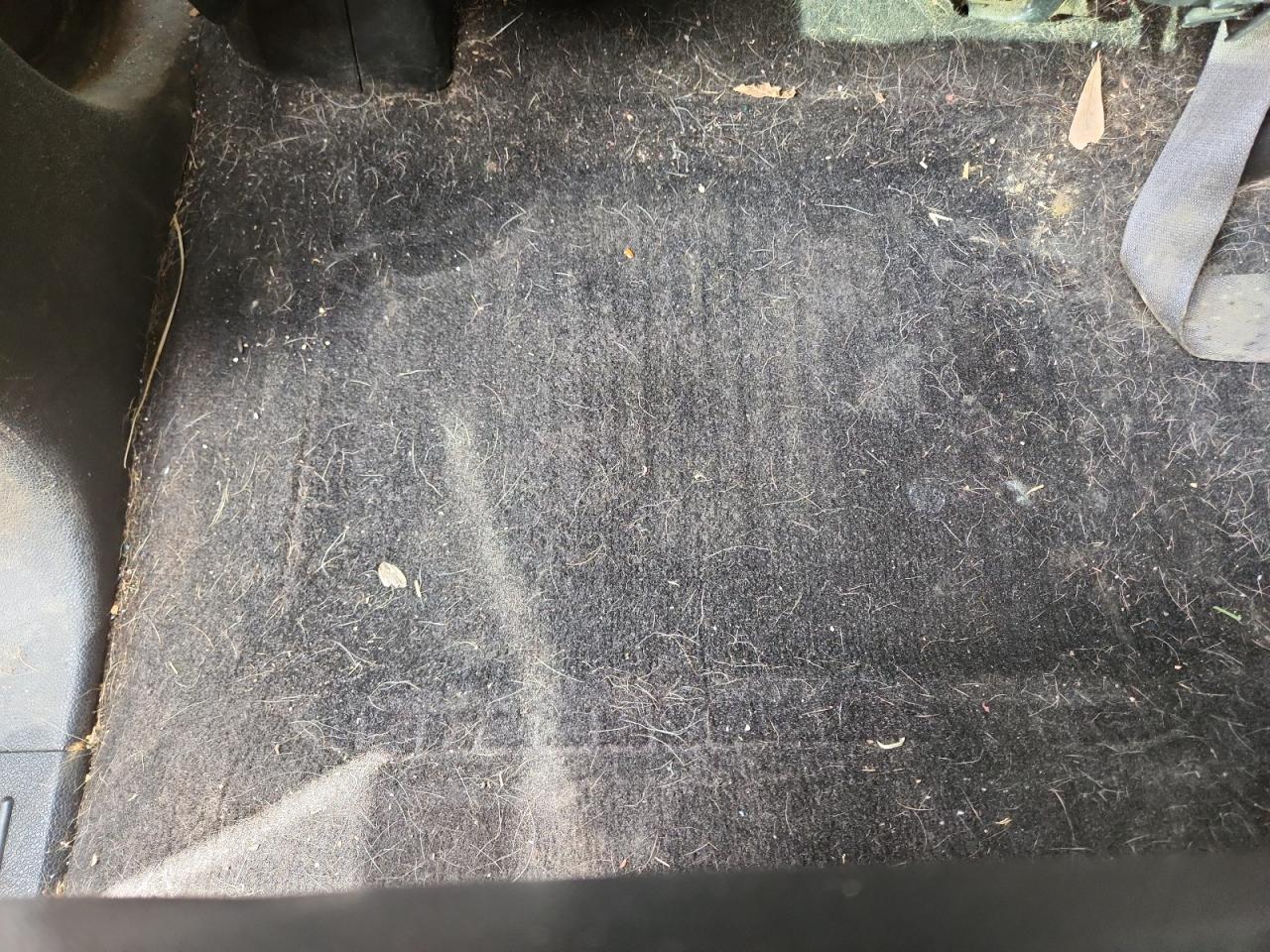 2010 Gmc Sierra K1500 Sle Синий vin: 3GTRKVE3XAG256046 Damage: Left Rear Carpet, Stained, Permanent