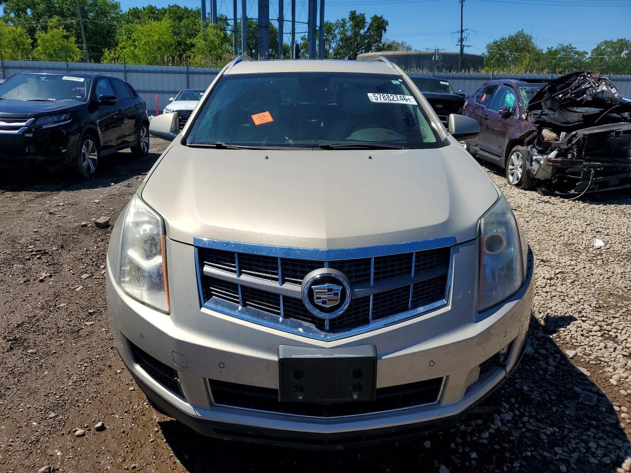 2012 Cadillac Srx Luxury Collection Beige vin: 3GYFNAE30CS510103