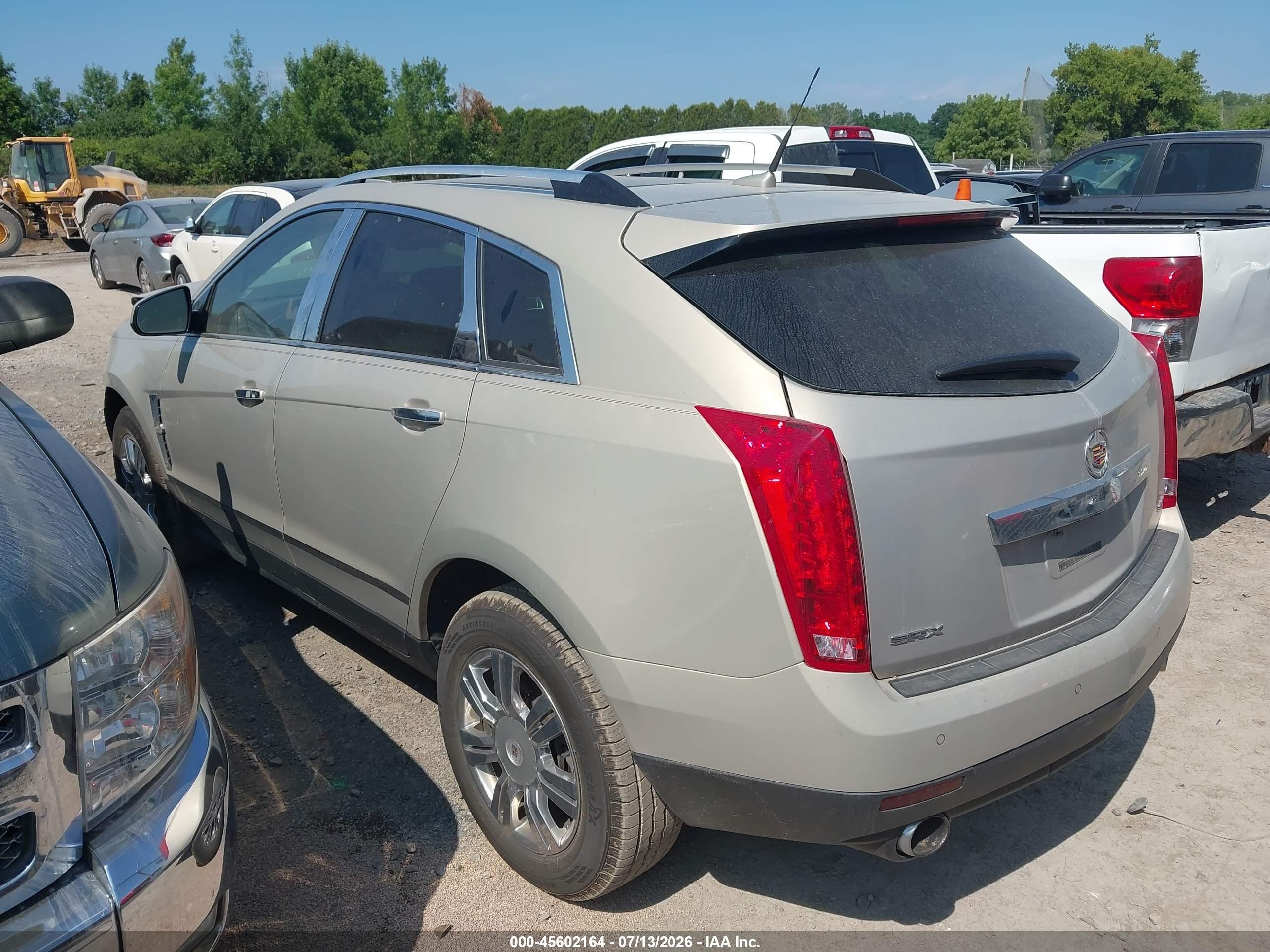 2012 Cadillac Srx Luxury Collection Beige vin: 3GYFNAE31CS510580