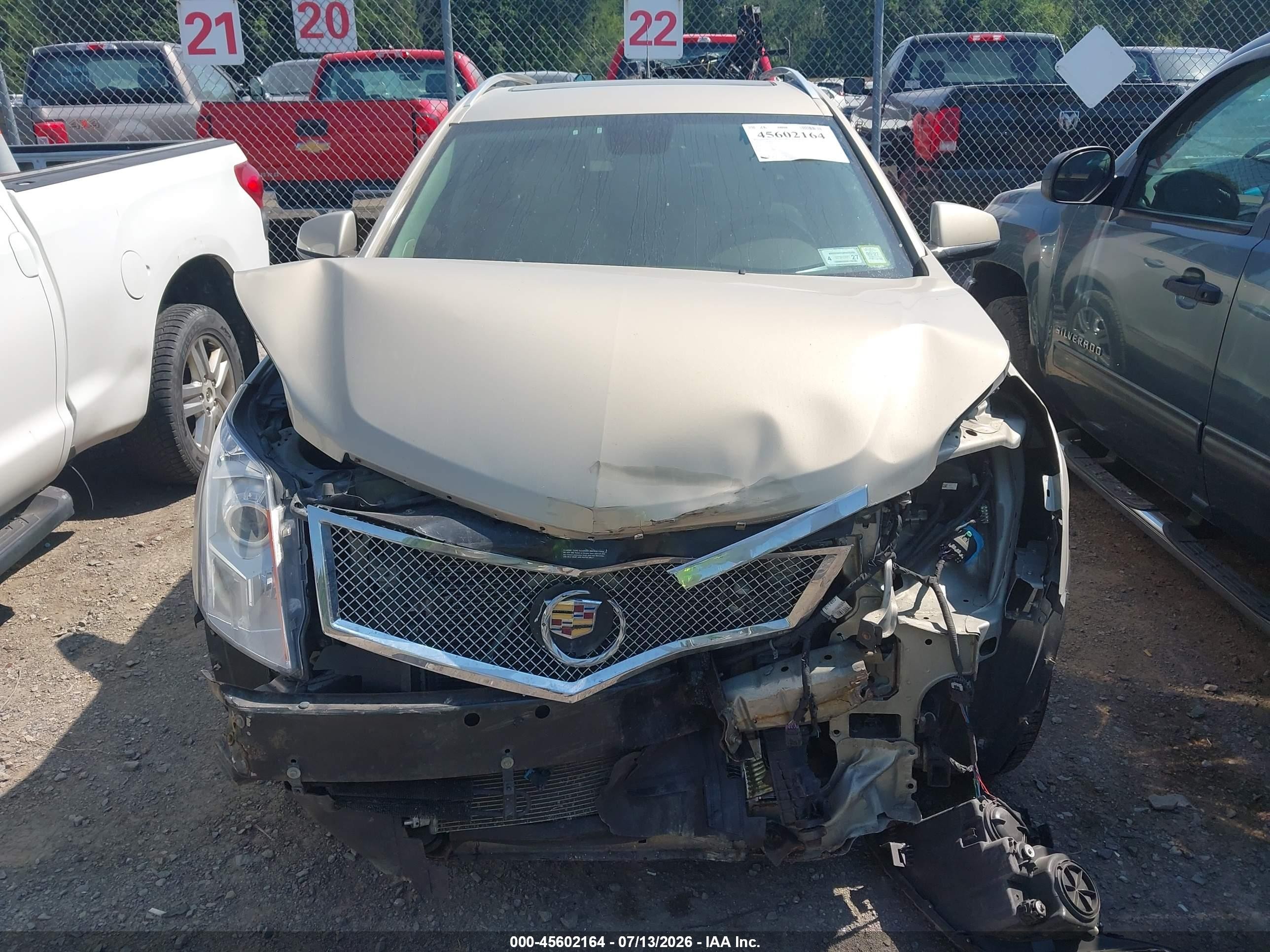 2012 Cadillac Srx Luxury Collection Beige vin: 3GYFNAE31CS510580