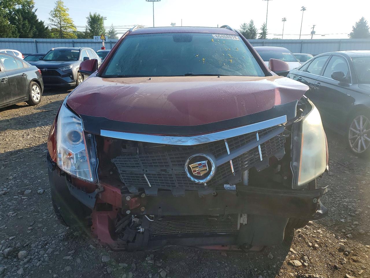 2012 Cadillac Srx Luxury Collection Red vin: 3GYFNAE31CS656414