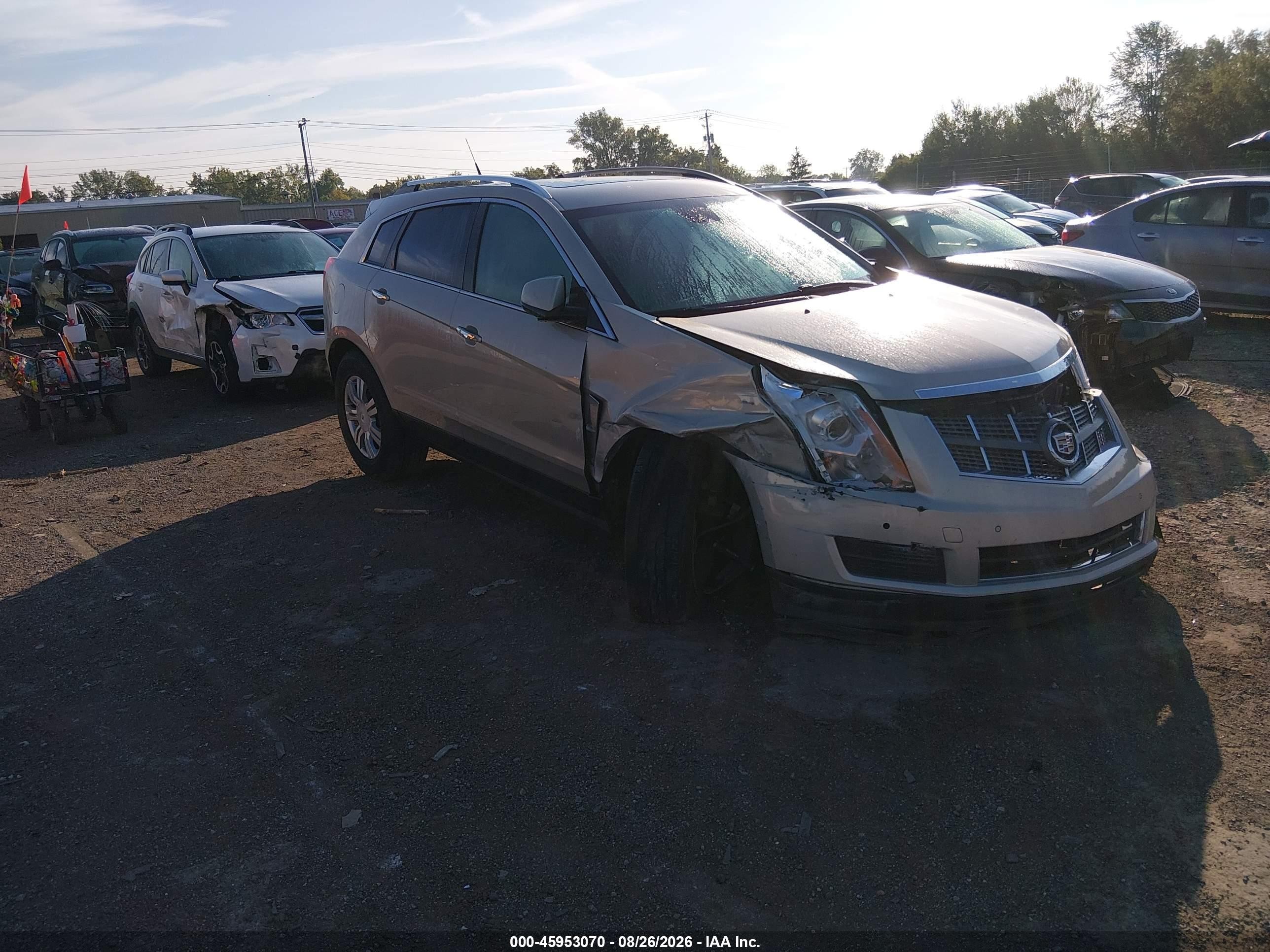 2012 Cadillac Srx Luxury Collection Gold vin: 3GYFNAE32CS567810