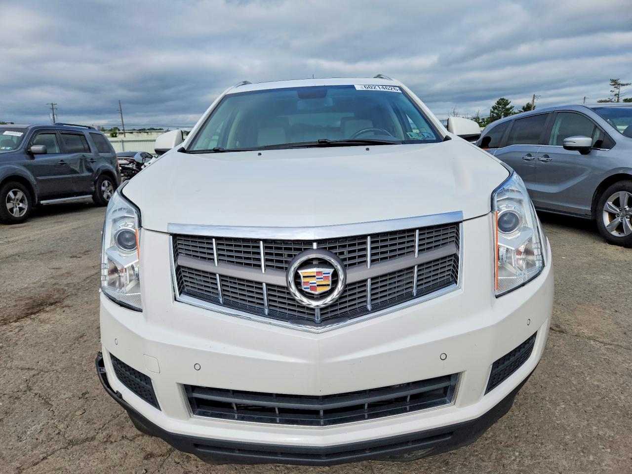 2012 Cadillac Srx Luxury Collection White vin: 3GYFNAE32CS605570
