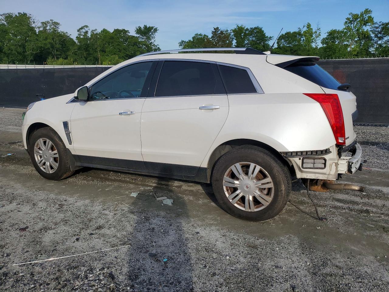 2012 Cadillac Srx Luxury Collection Белый vin: 3GYFNAE33CS627481