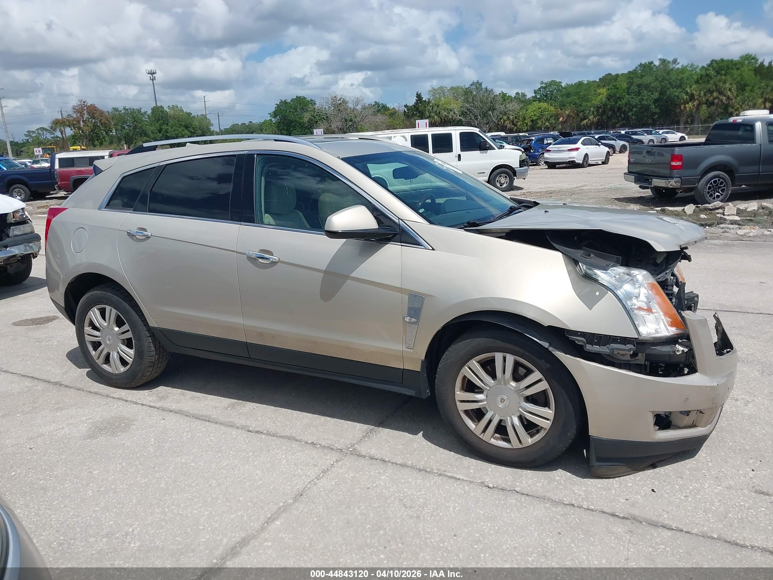 2012 Cadillac Srx Luxury Collection Champagne vin: 3GYFNAE34CS518558