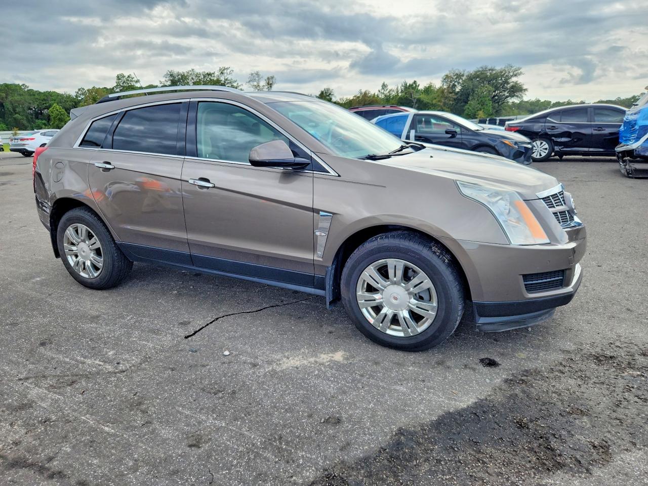 2012 Cadillac Srx Luxury Collection Brown vin: 3GYFNAE39CS626061