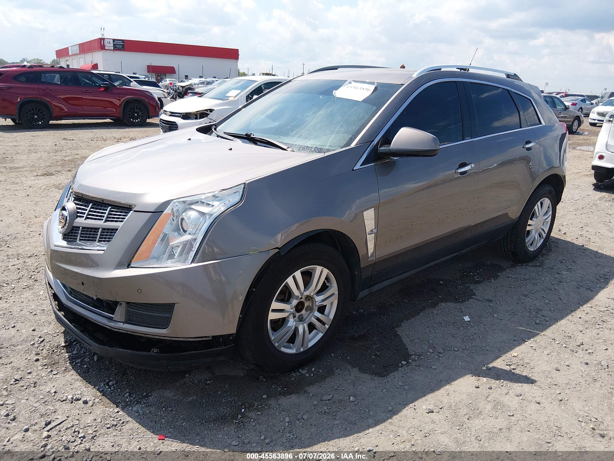 2012 Cadillac Srx Luxury Collection Beige vin: 3GYFNAE3XCS506852