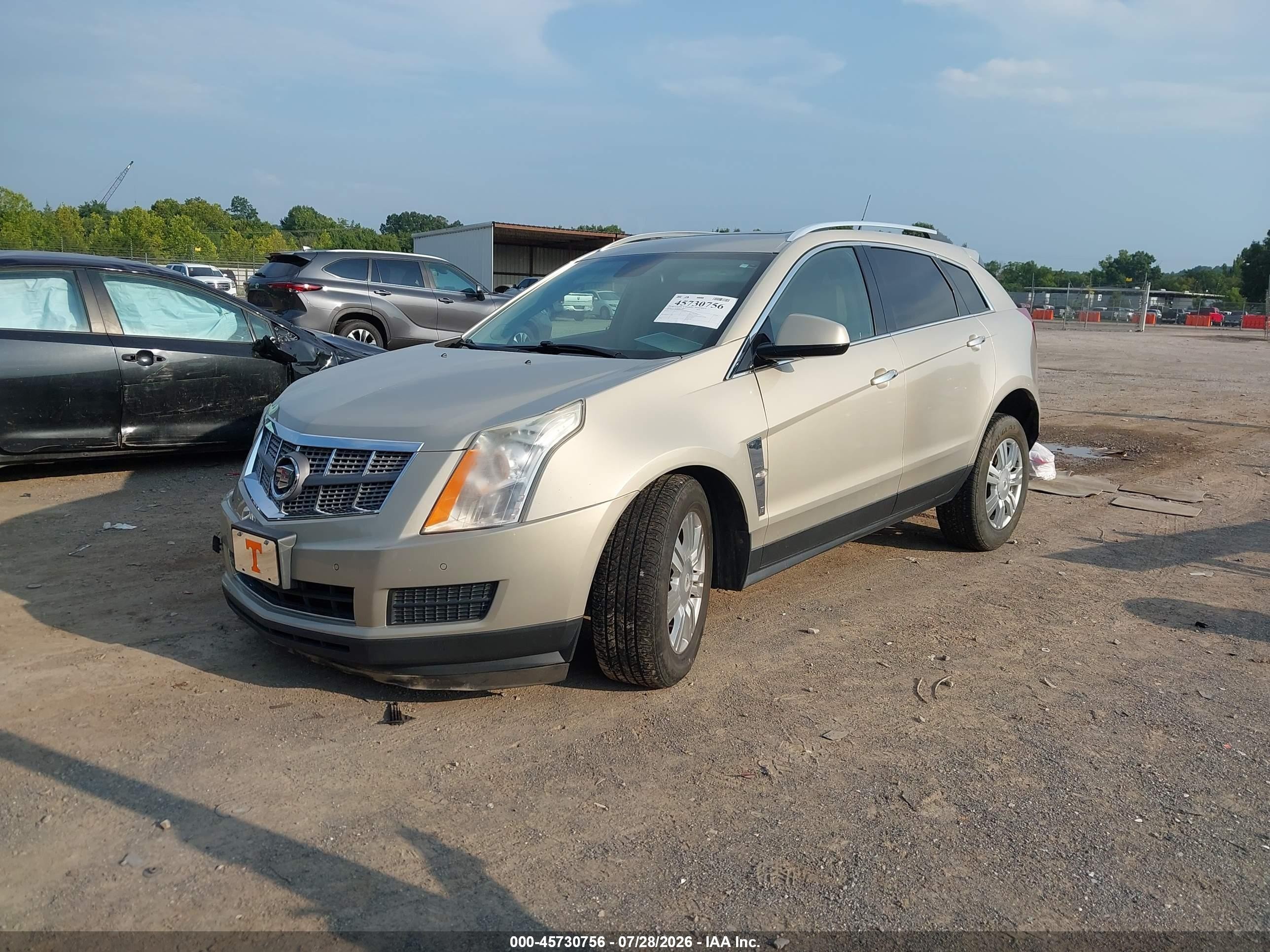 2010 Cadillac Srx Luxury Collection Gold vin: 3GYFNAEY0AS631884