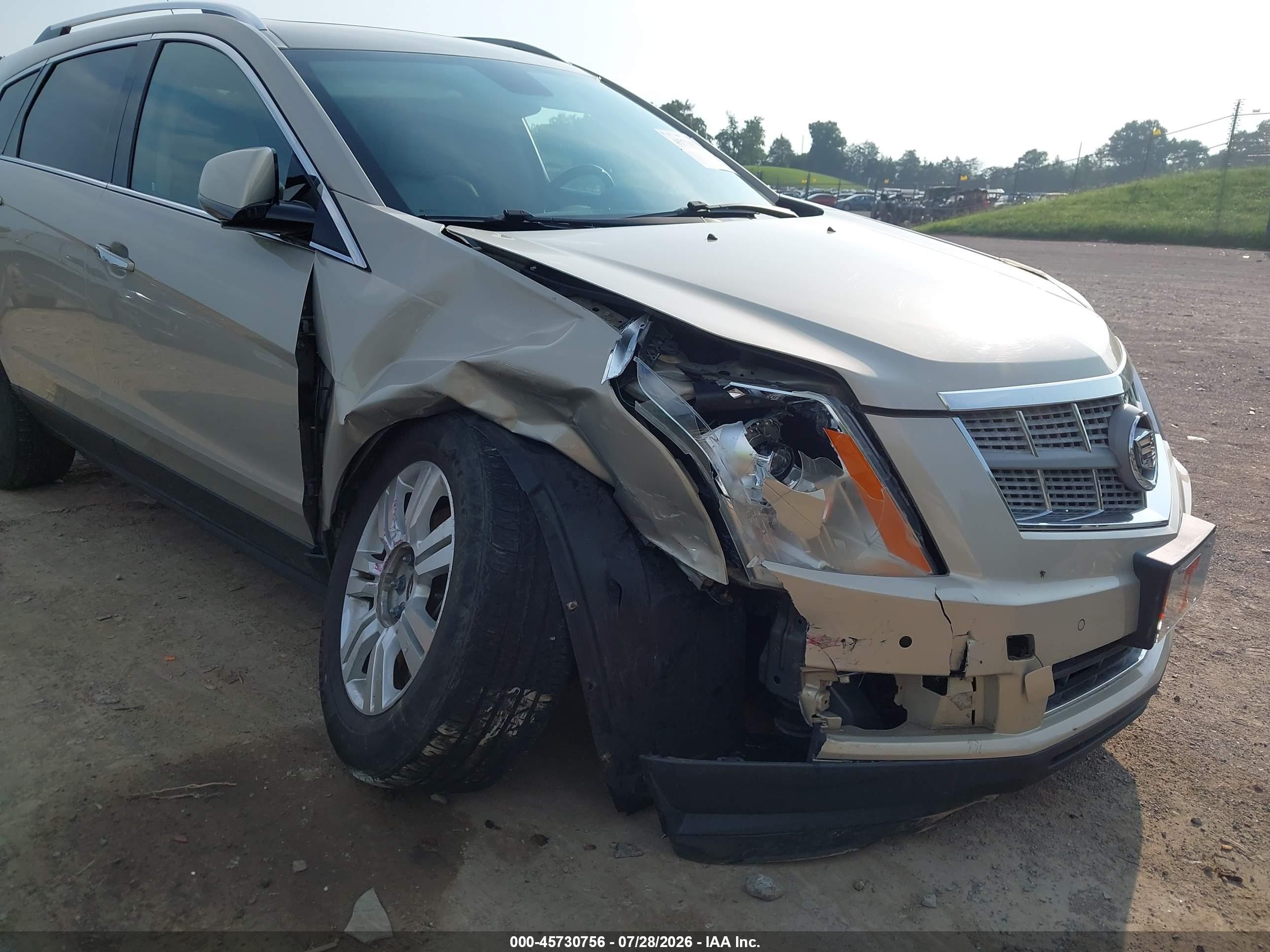 2010 Cadillac Srx Luxury Collection Gold vin: 3GYFNAEY0AS631884