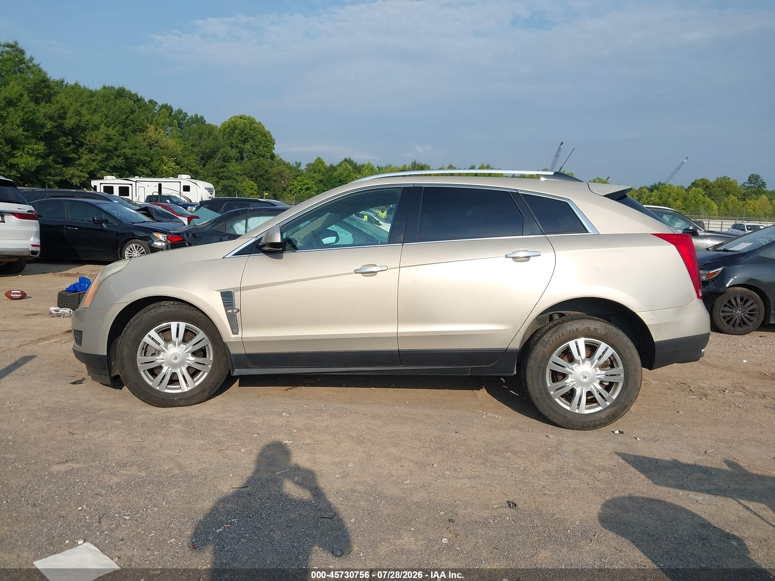 2010 Cadillac Srx Luxury Collection Gold vin: 3GYFNAEY0AS631884