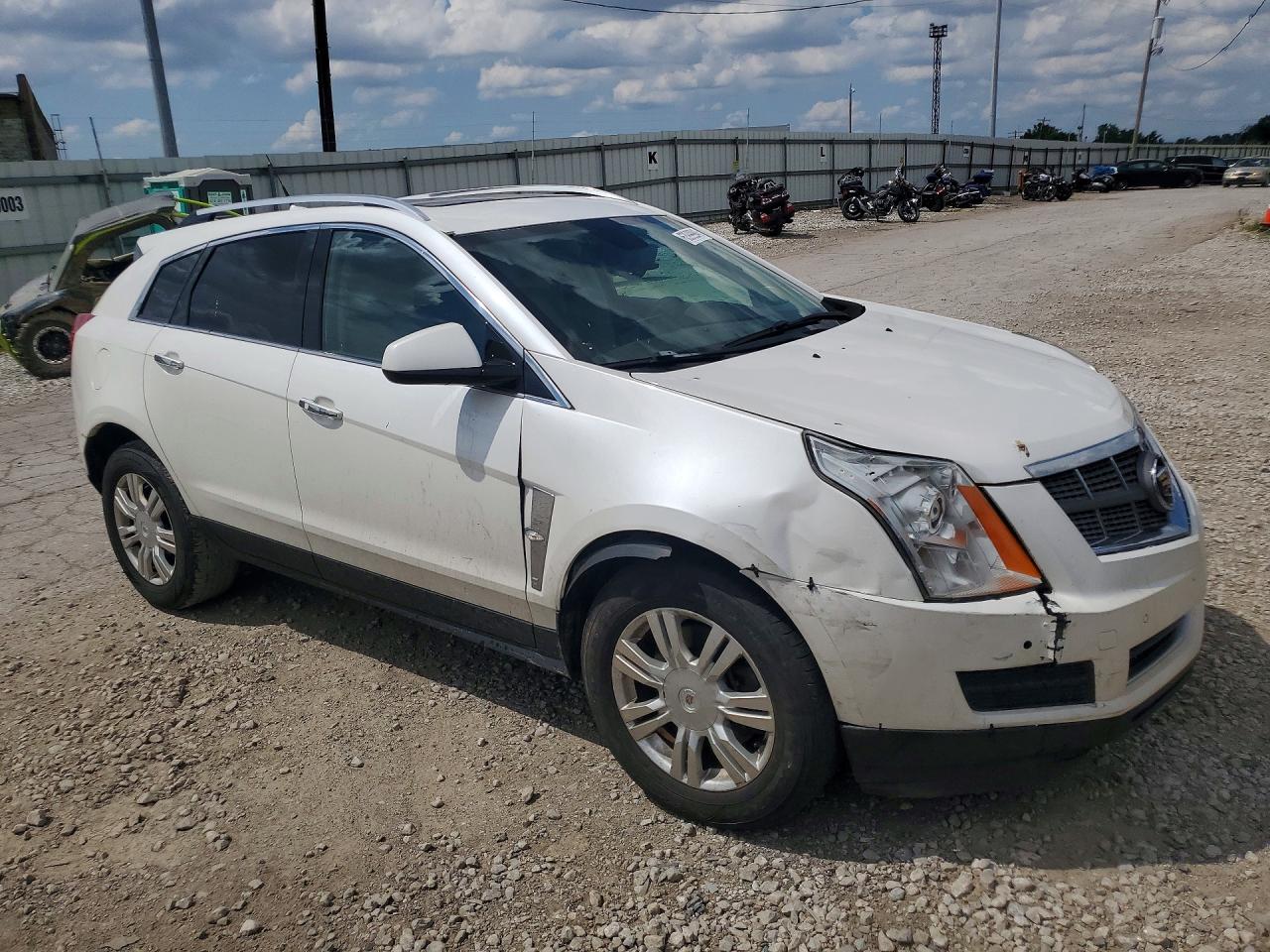 2011 Cadillac Srx Luxury Collection White vin: 3GYFNAEY1BS518611