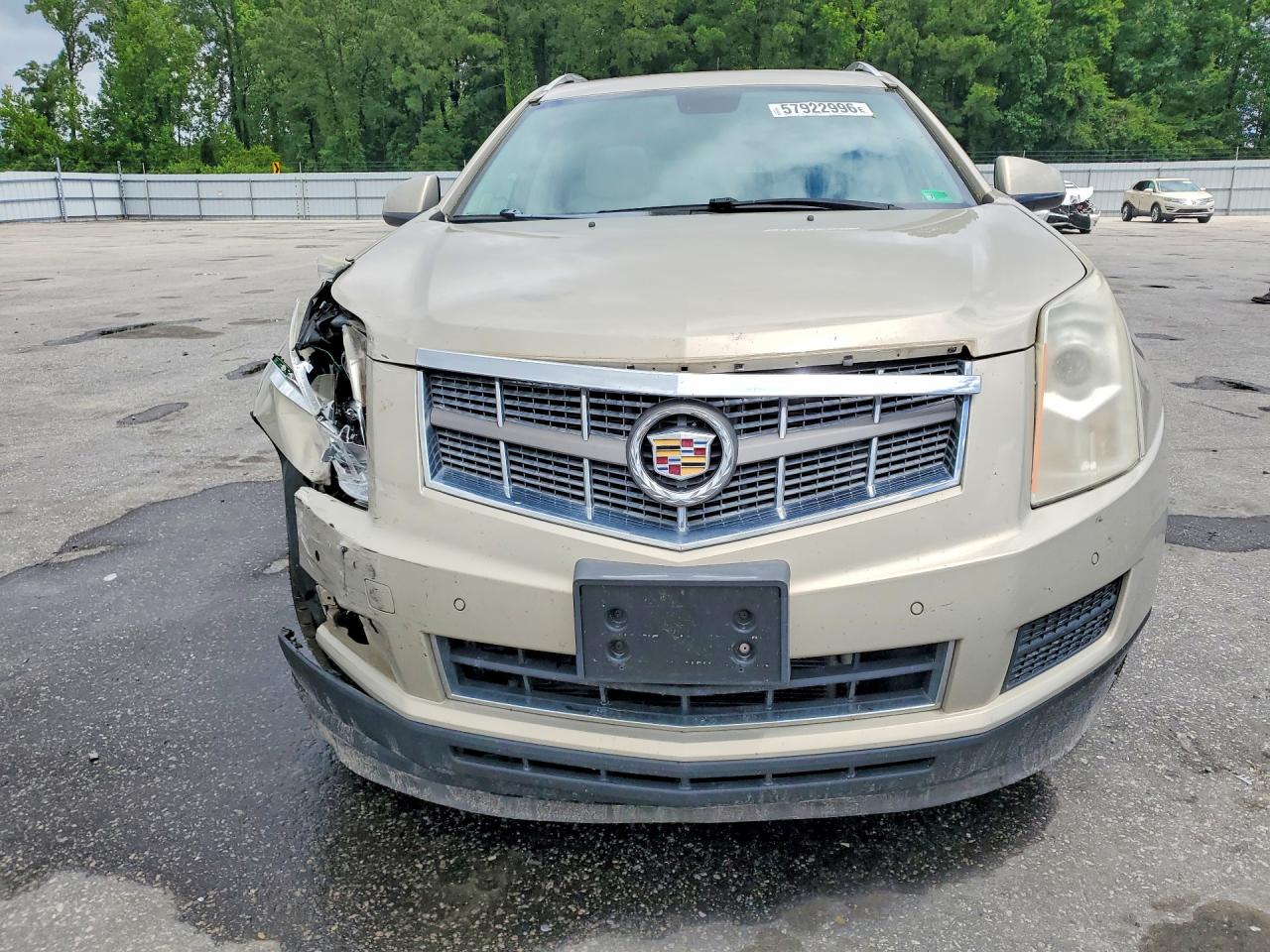 2011 Cadillac Srx Luxury Collection Gold vin: 3GYFNAEY2BS552931