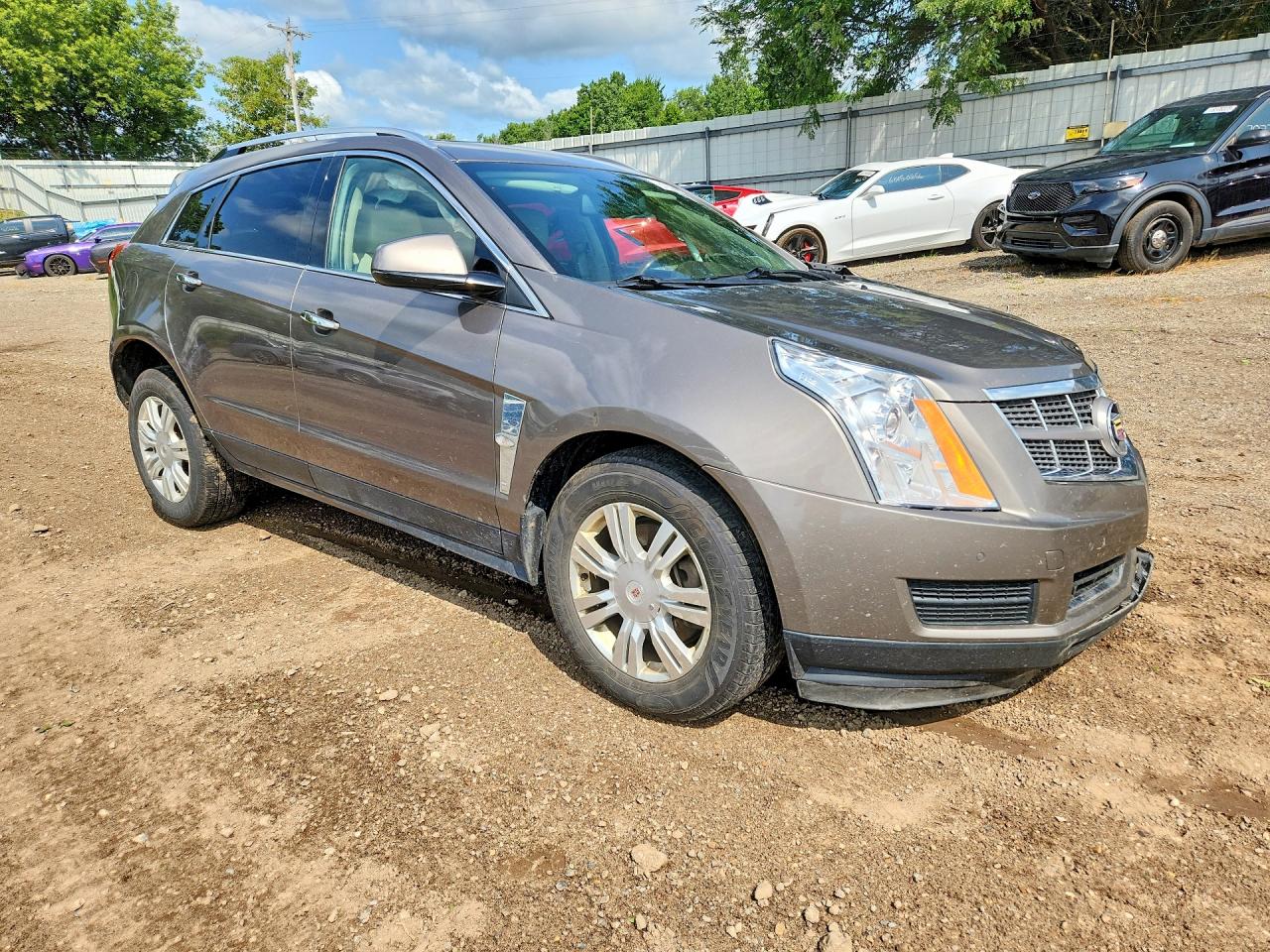 2011 Cadillac Srx Luxury Collection Brown vin: 3GYFNAEY2BS669635