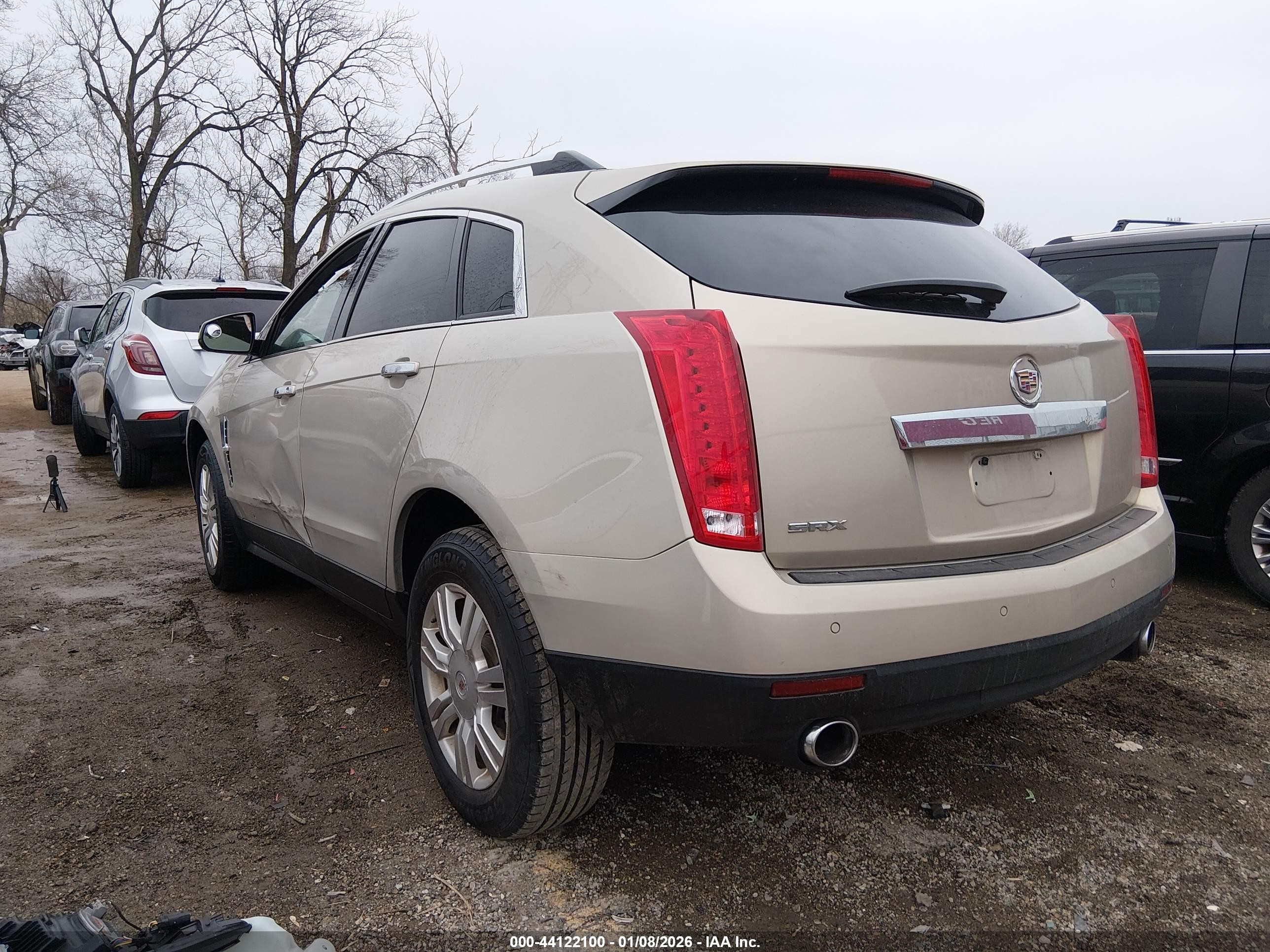 2010 Cadillac Srx Luxury Collection Золотой vin: 3GYFNAEY3AS510735