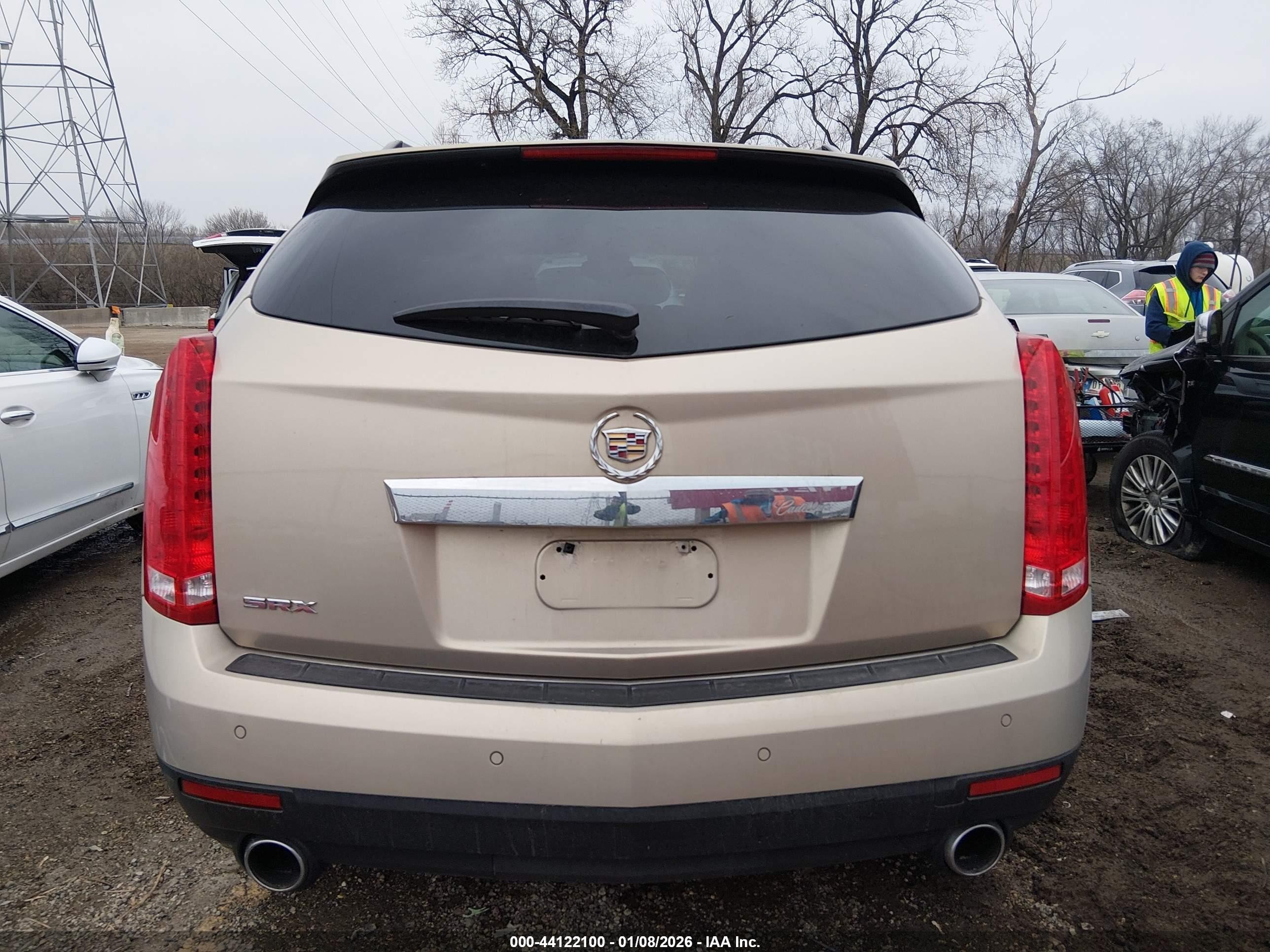 2010 Cadillac Srx Luxury Collection Золотой vin: 3GYFNAEY3AS510735