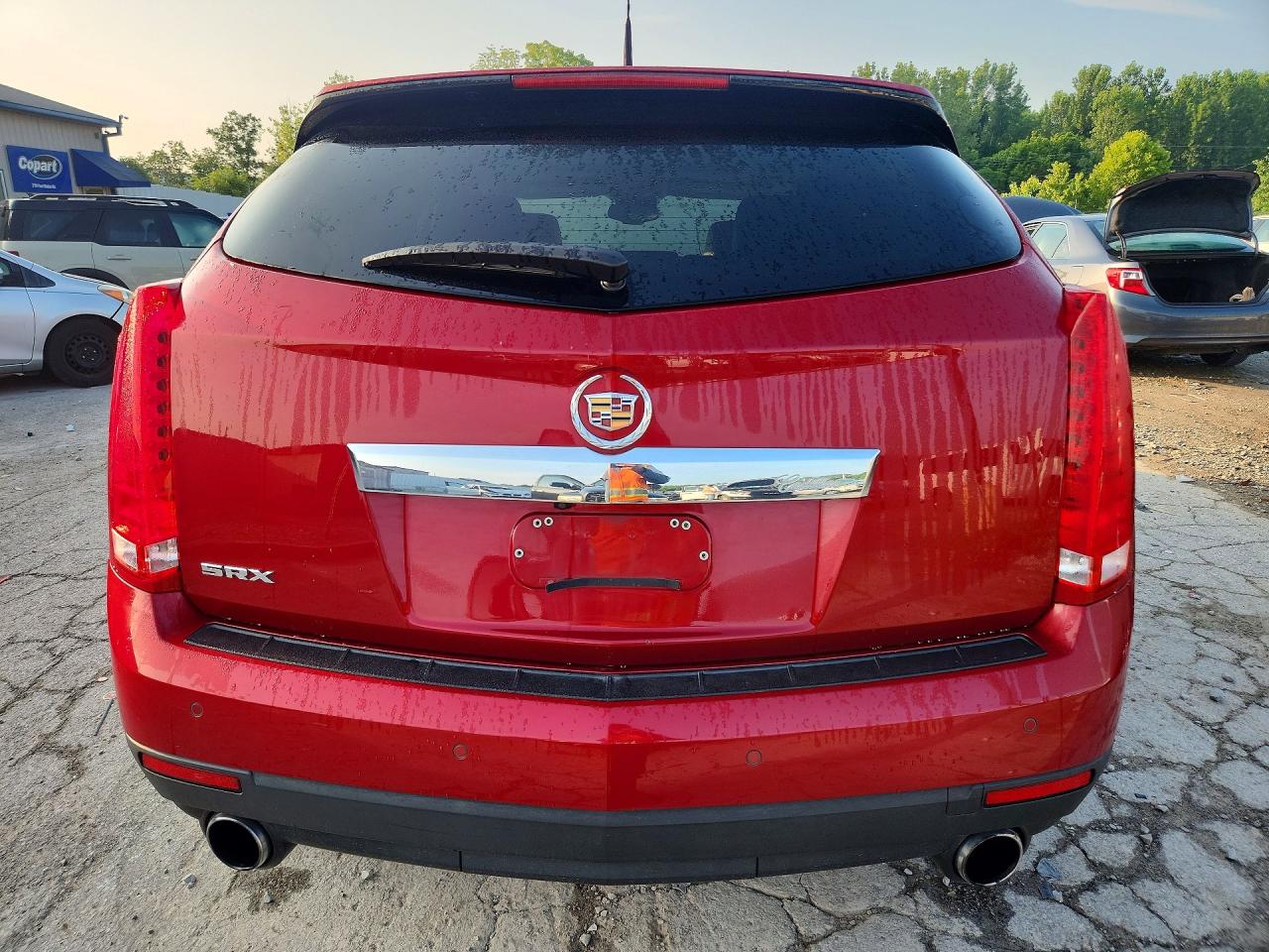2010 Cadillac Srx Luxury Collection Red vin: 3GYFNAEY3AS649215