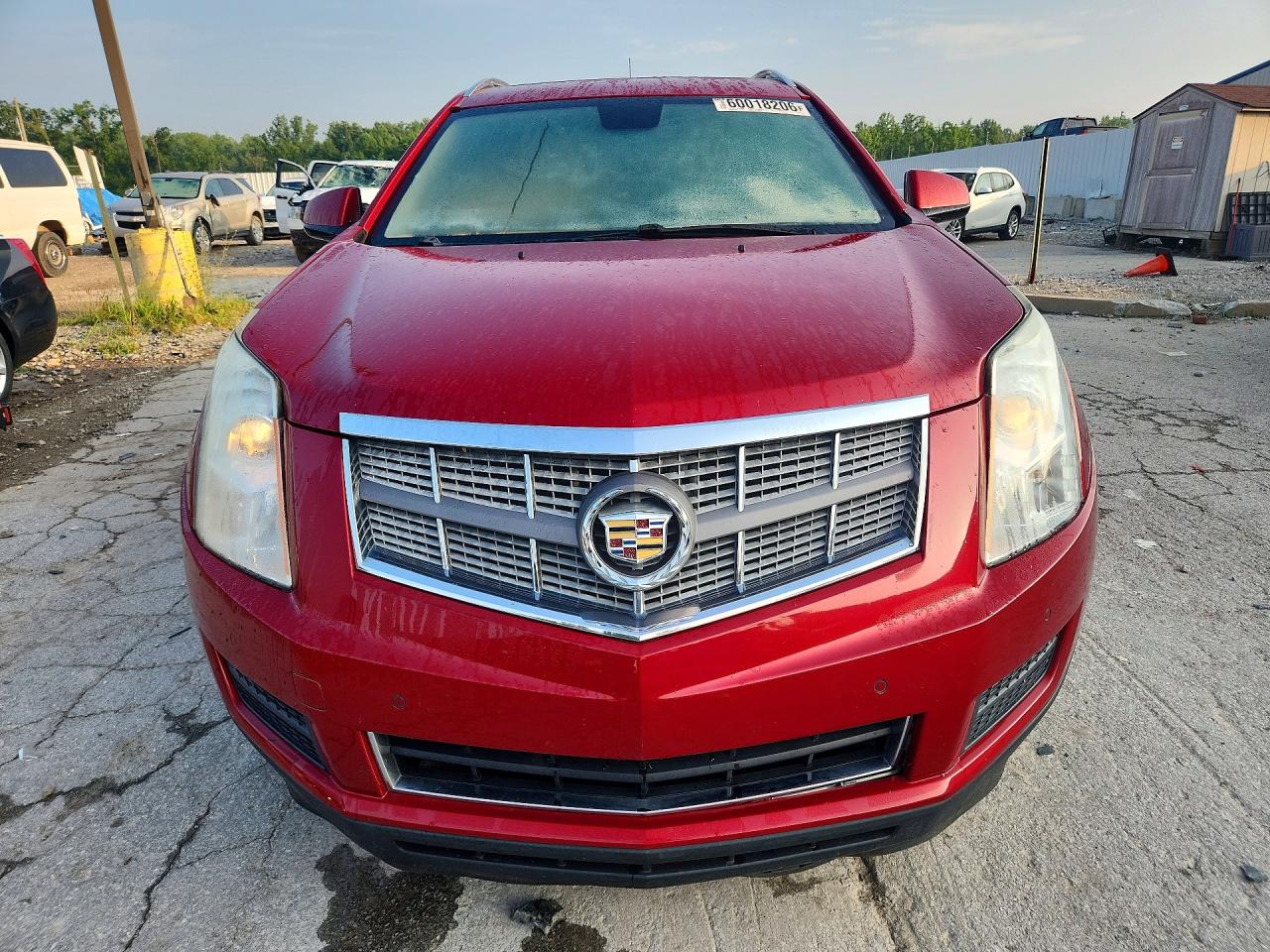 2010 Cadillac Srx Luxury Collection Red vin: 3GYFNAEY3AS649215