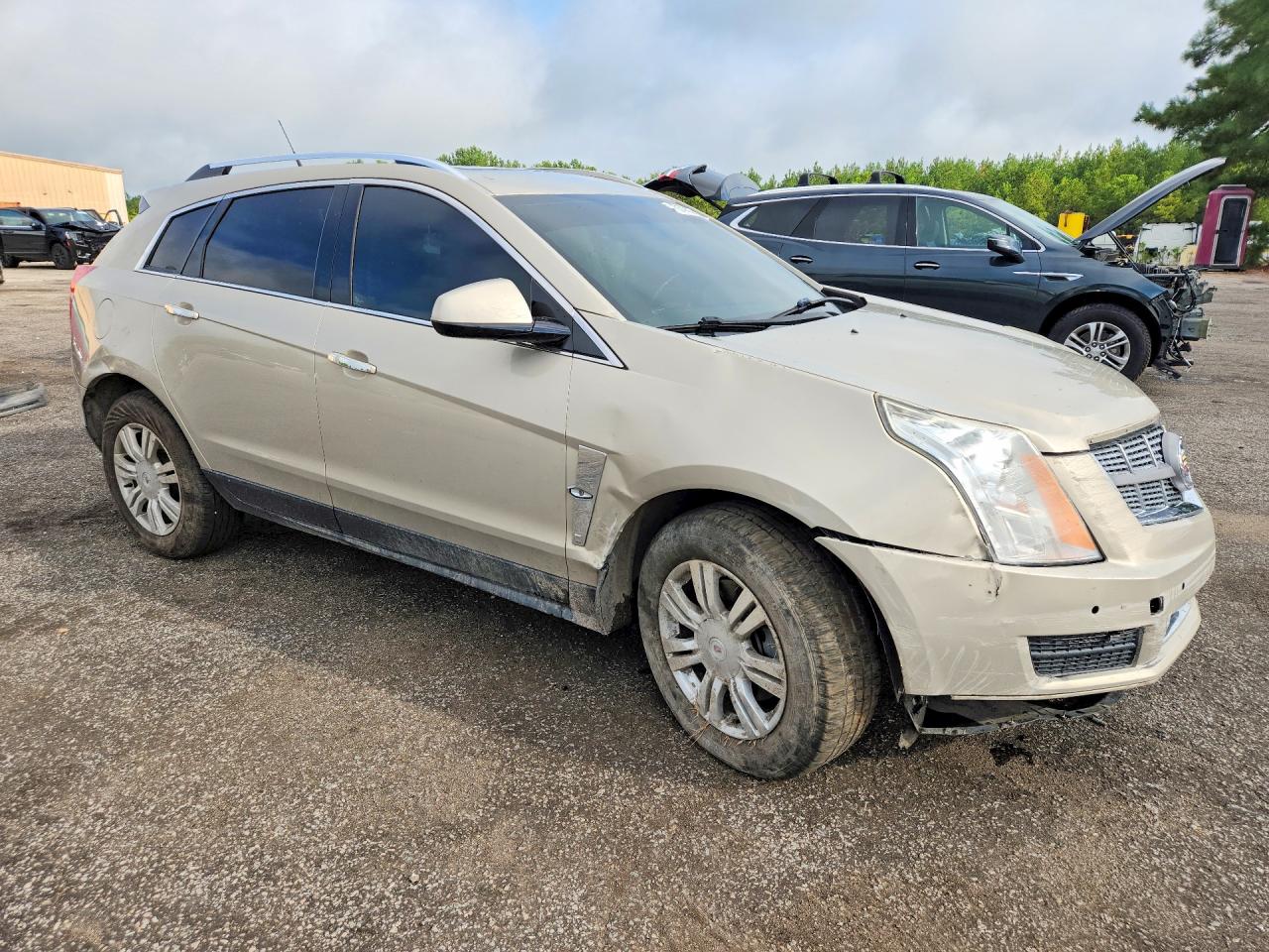 2011 Cadillac Srx Luxury Collection Gold vin: 3GYFNAEY3BS540397