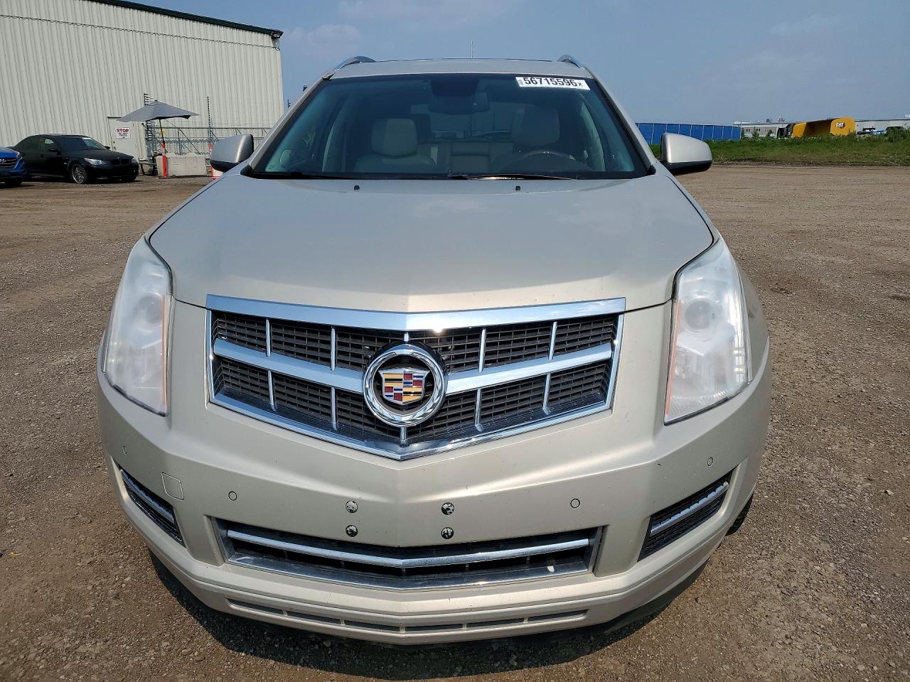 2011 Cadillac Srx Luxury Collection Gold vin: 3GYFNAEY3BS611016
