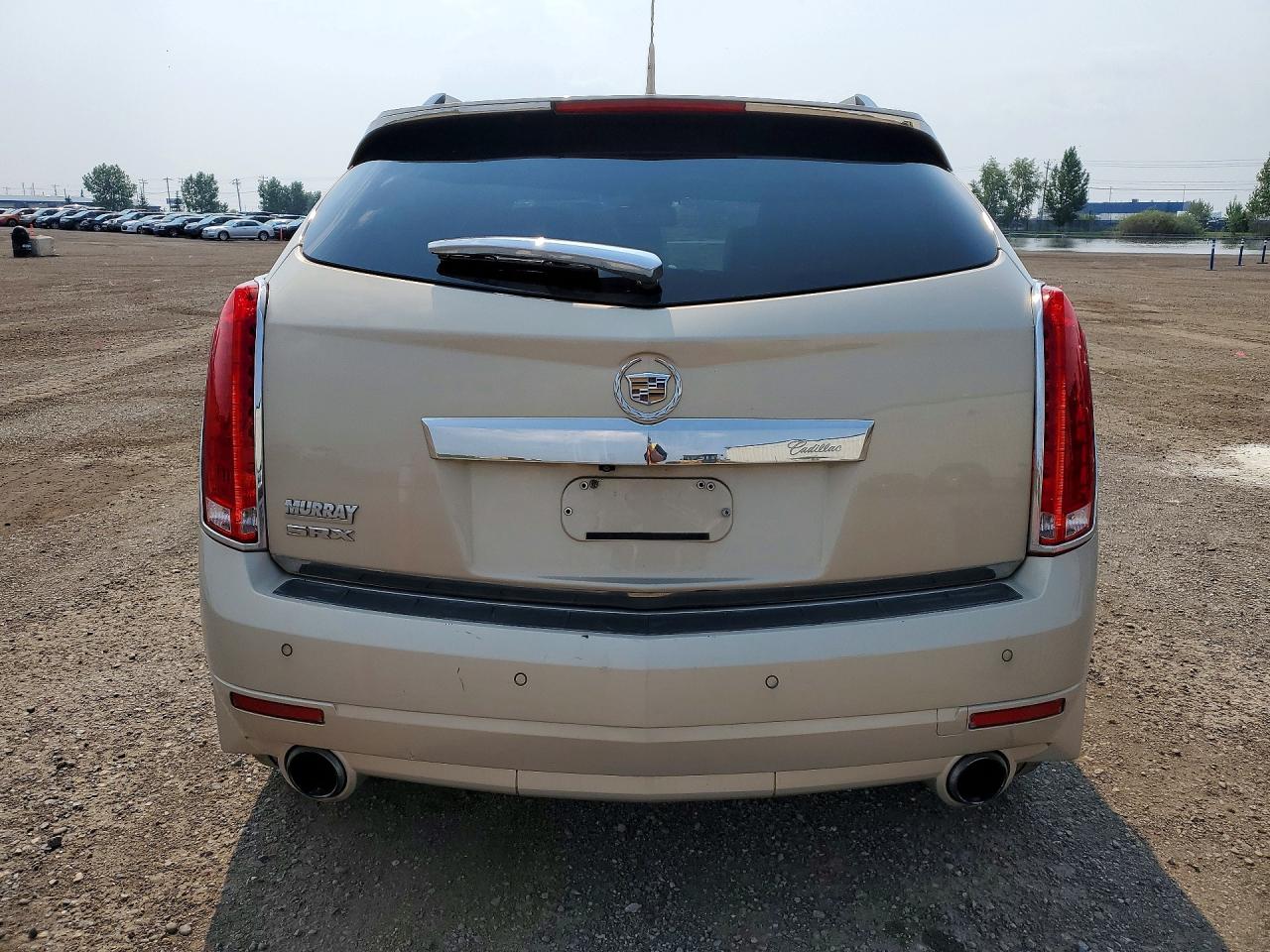 2011 Cadillac Srx Luxury Collection Gold vin: 3GYFNAEY3BS611016