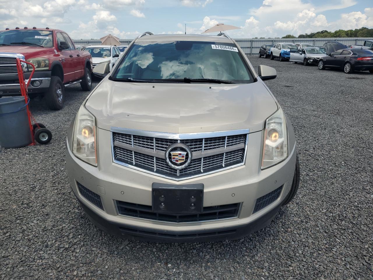 2010 Cadillac Srx Luxury Collection Gold vin: 3GYFNAEY4AS522084