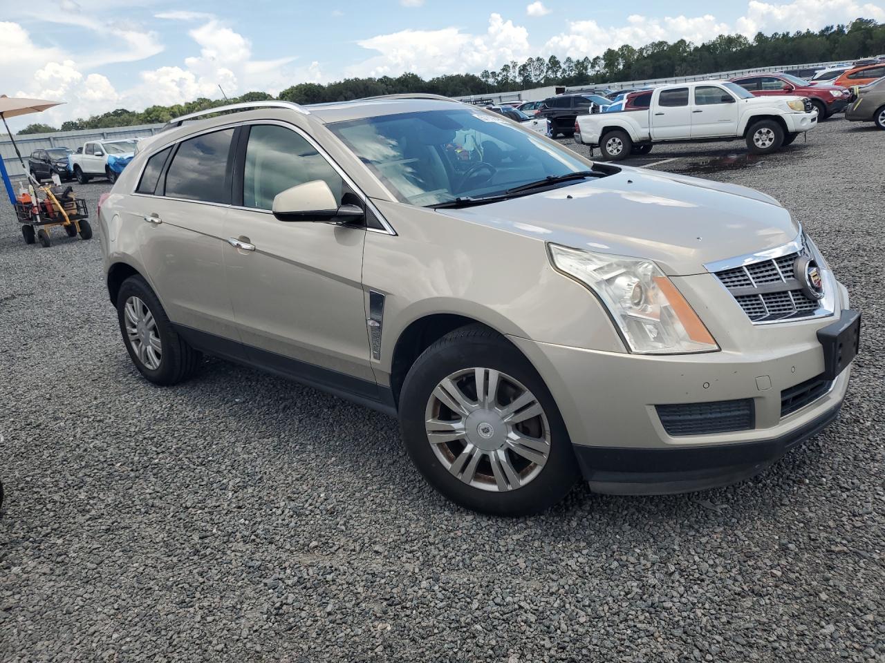 2010 Cadillac Srx Luxury Collection Gold vin: 3GYFNAEY4AS522084