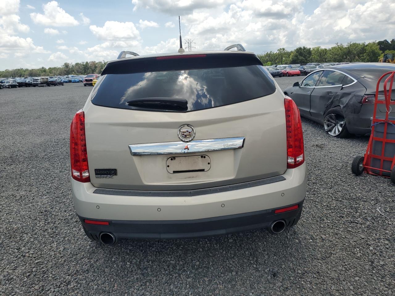 2010 Cadillac Srx Luxury Collection Gold vin: 3GYFNAEY4AS522084