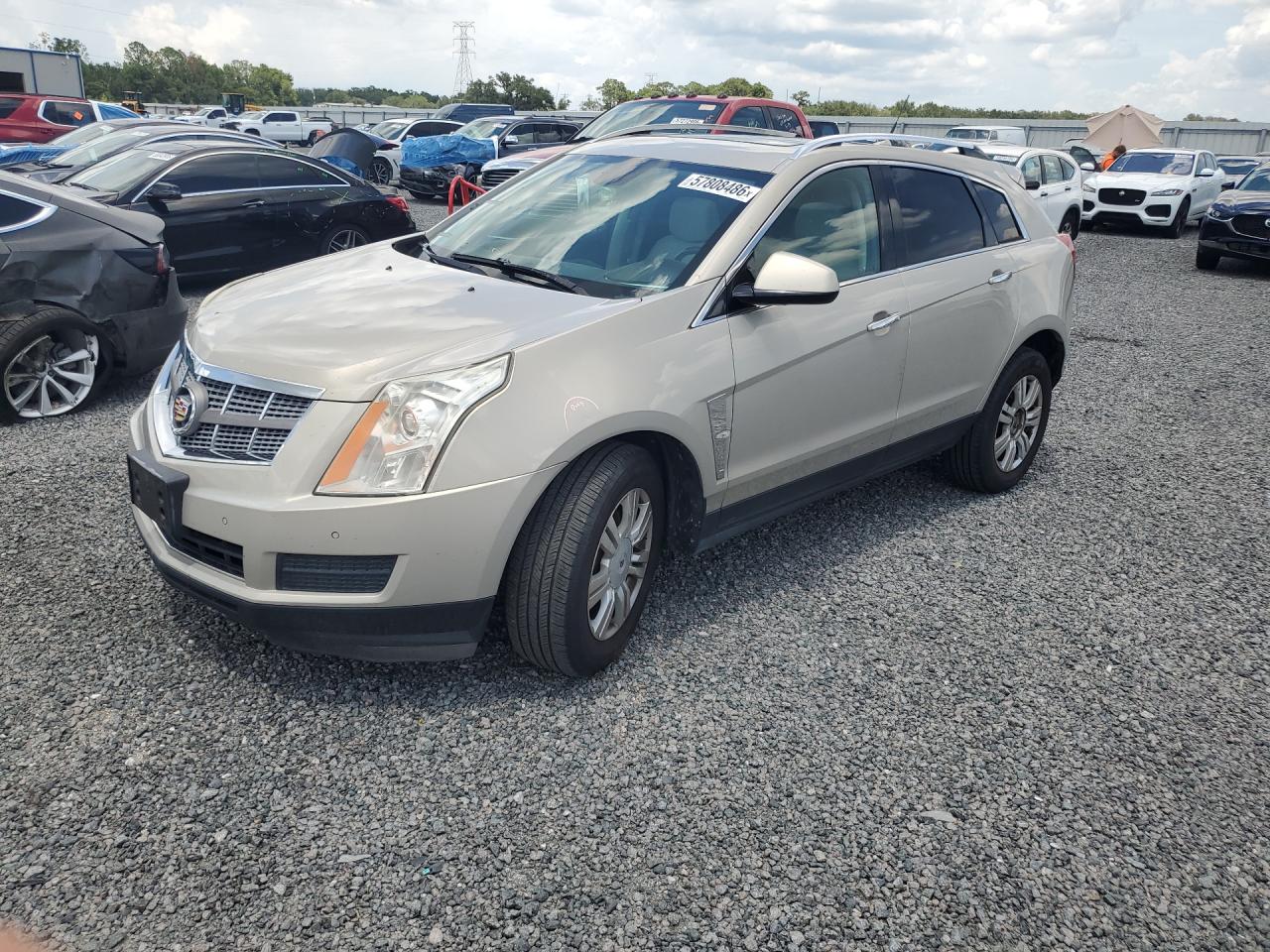 2010 Cadillac Srx Luxury Collection Gold vin: 3GYFNAEY4AS522084