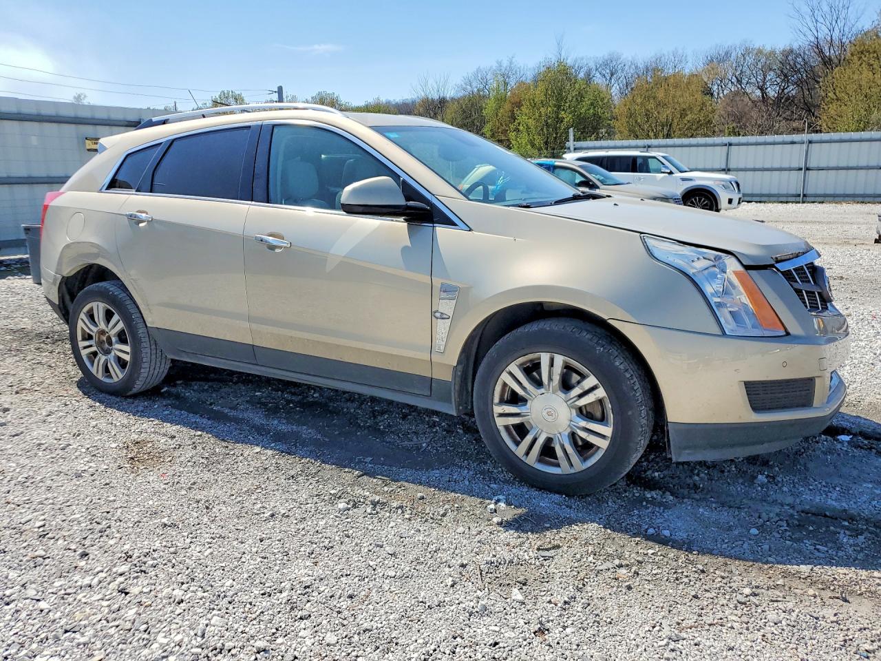 2010 Cadillac Srx Luxury Collection Желто-коричневый vin: 3GYFNAEY5AS515211