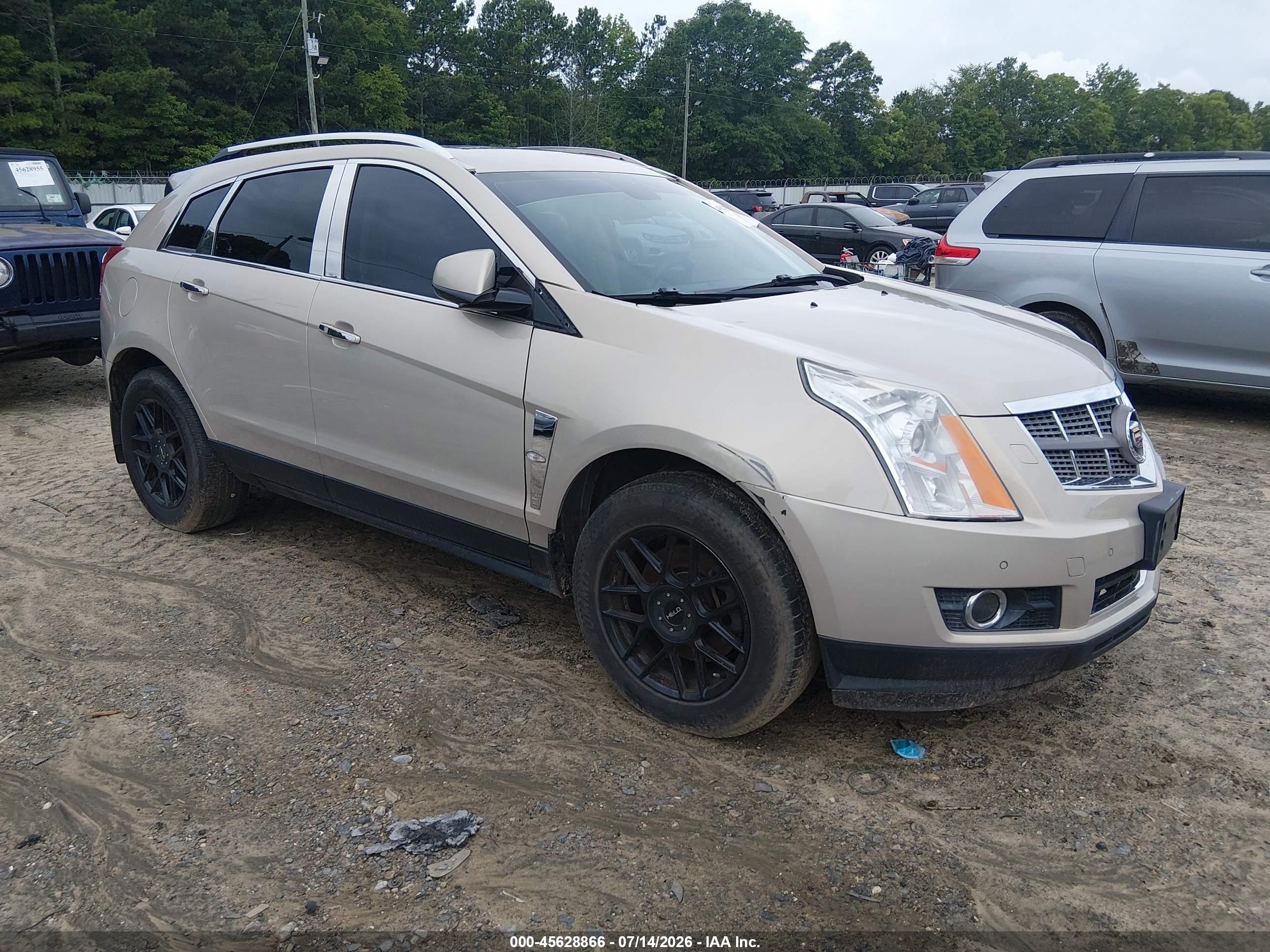 2011 Cadillac Srx Luxury Collection Gold vin: 3GYFNAEY6BS597466