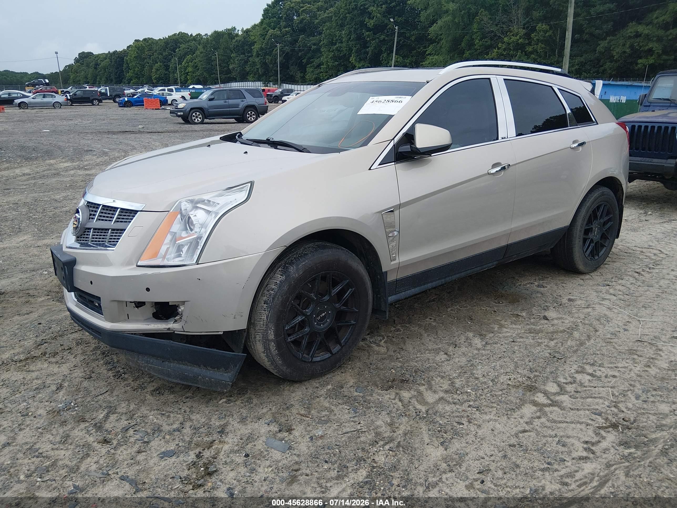 2011 Cadillac Srx Luxury Collection Gold vin: 3GYFNAEY6BS597466