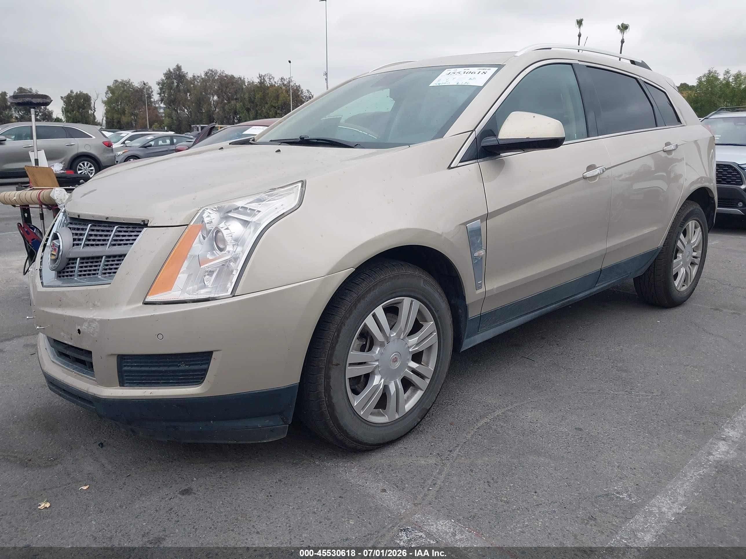 2010 Cadillac Srx Luxury Collection Gold vin: 3GYFNAEY7AS578326