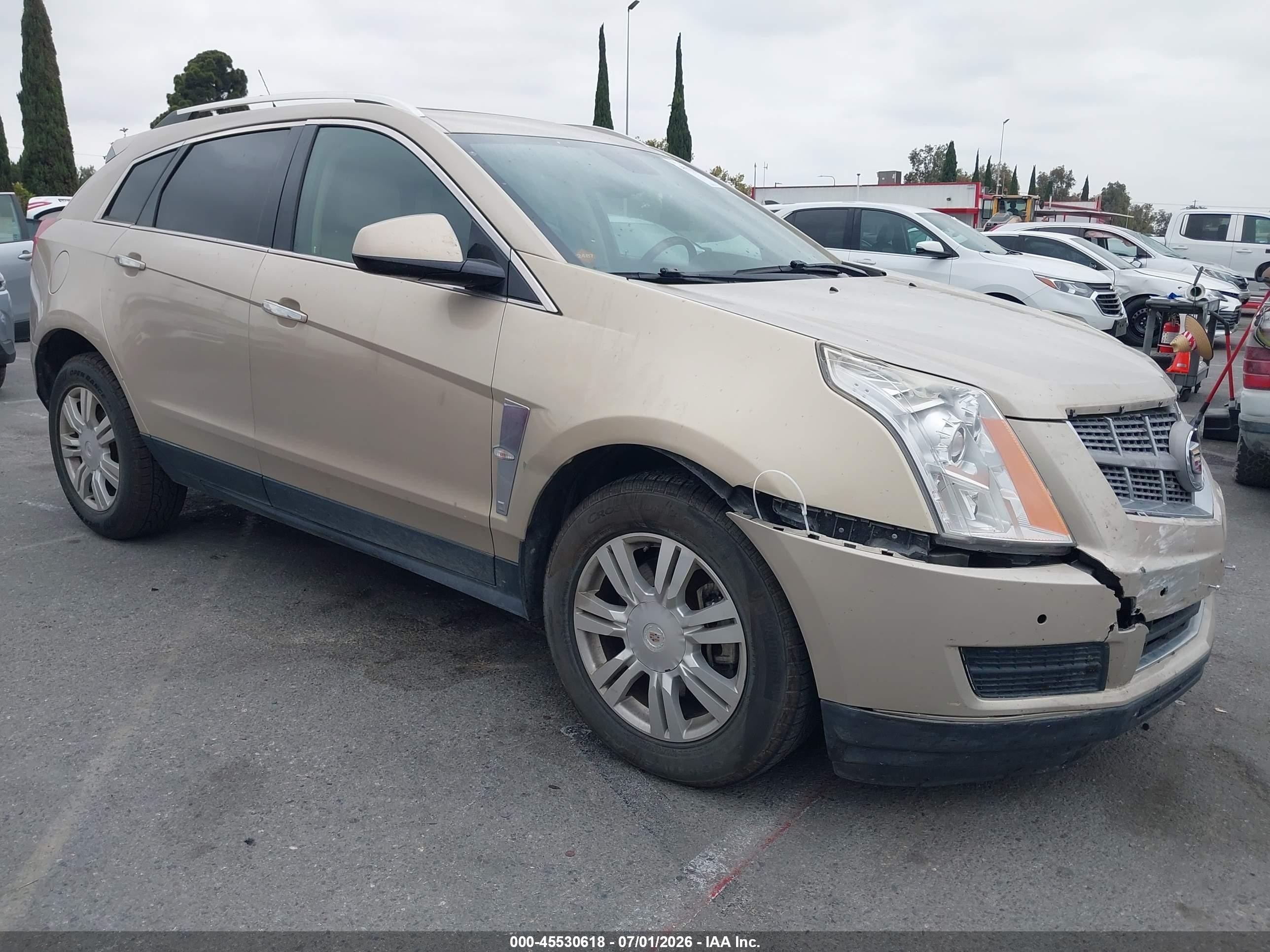 2010 Cadillac Srx Luxury Collection Gold vin: 3GYFNAEY7AS578326