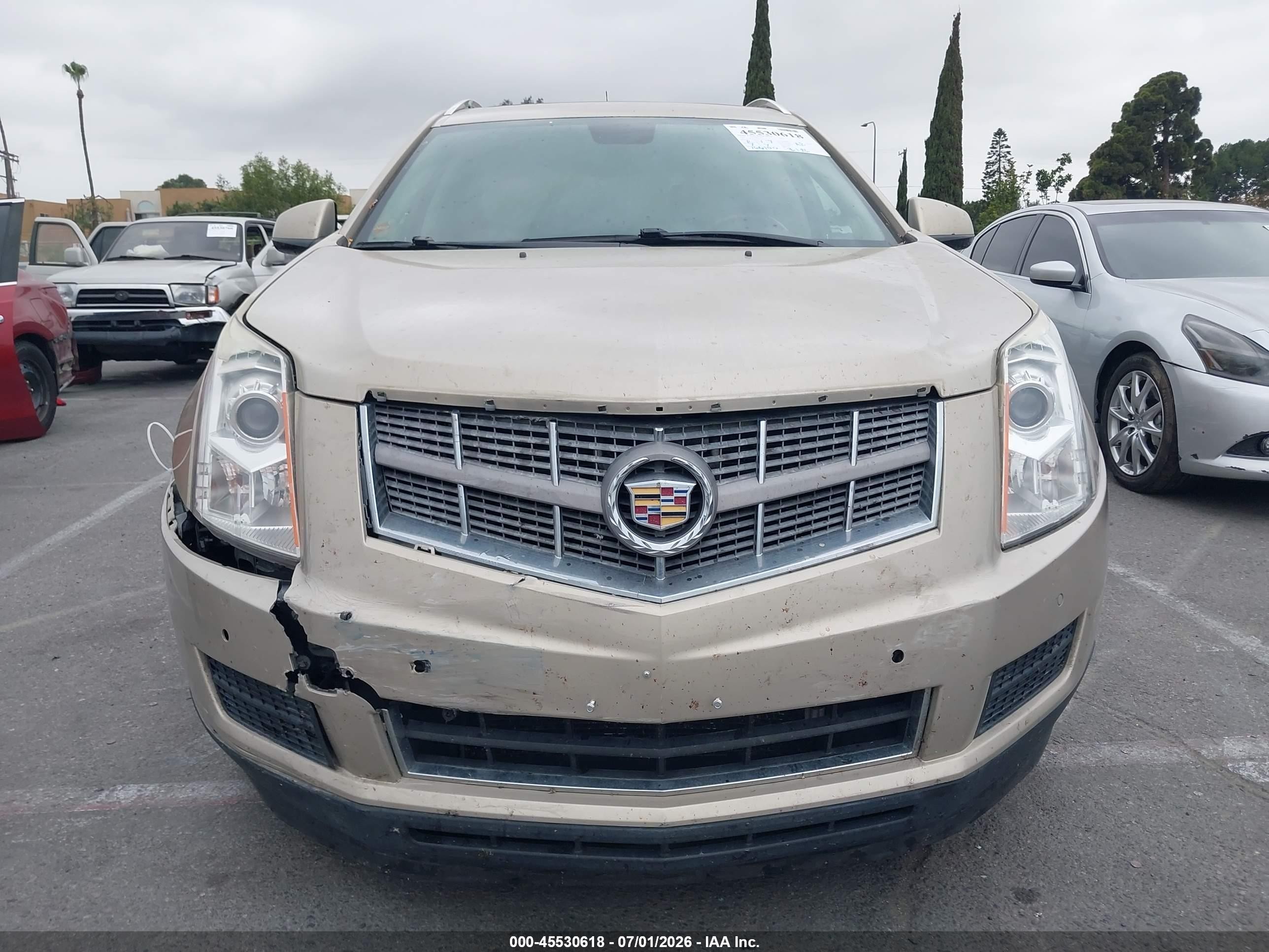 2010 Cadillac Srx Luxury Collection Gold vin: 3GYFNAEY7AS578326