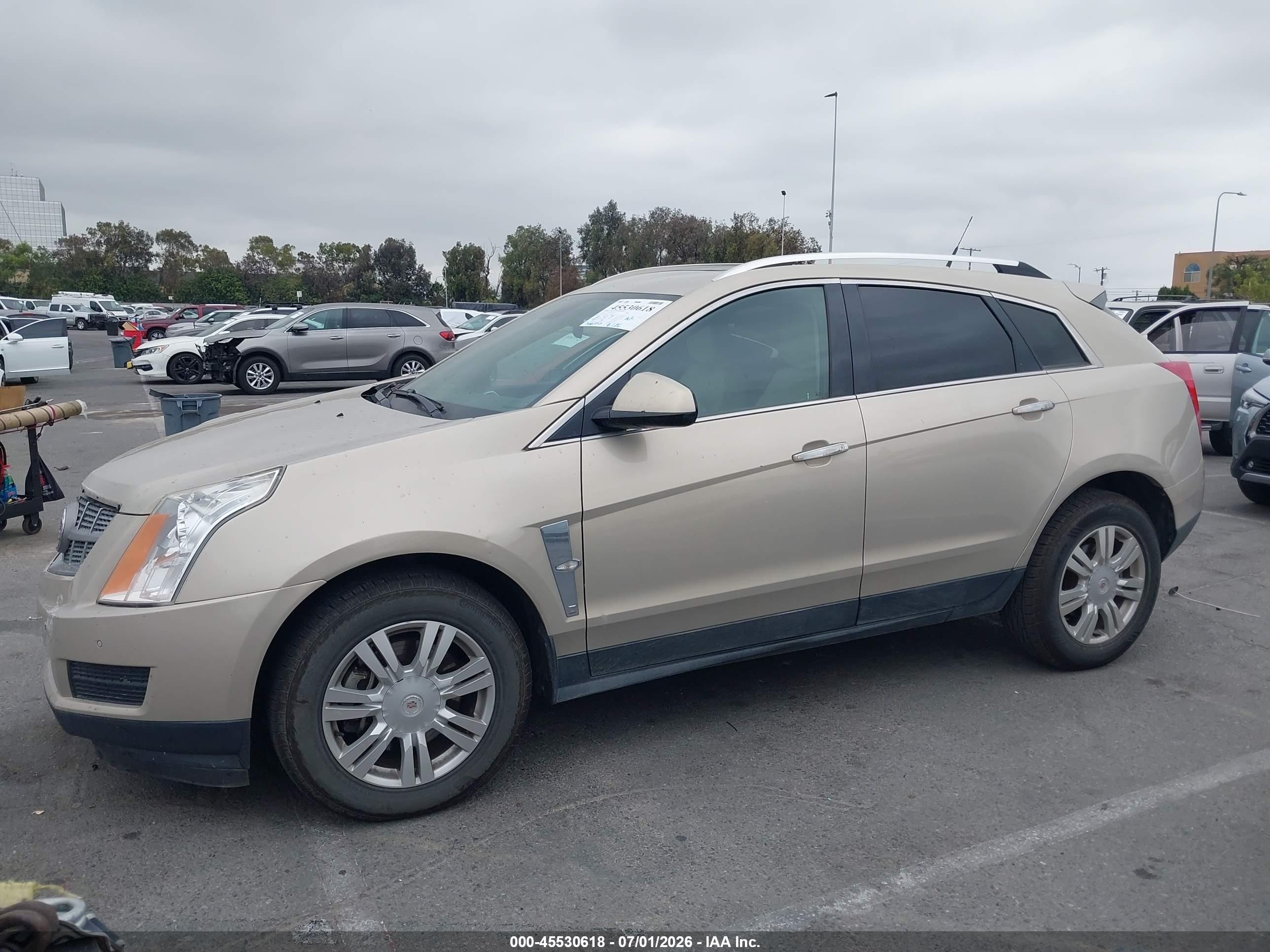 2010 Cadillac Srx Luxury Collection Gold vin: 3GYFNAEY7AS578326