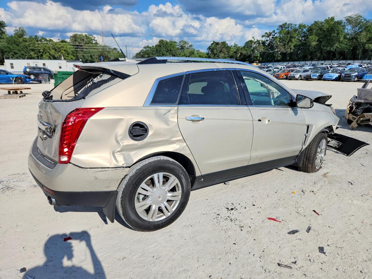 2010 Cadillac Srx Luxury Collection Beige vin: 3GYFNAEY7AS606920