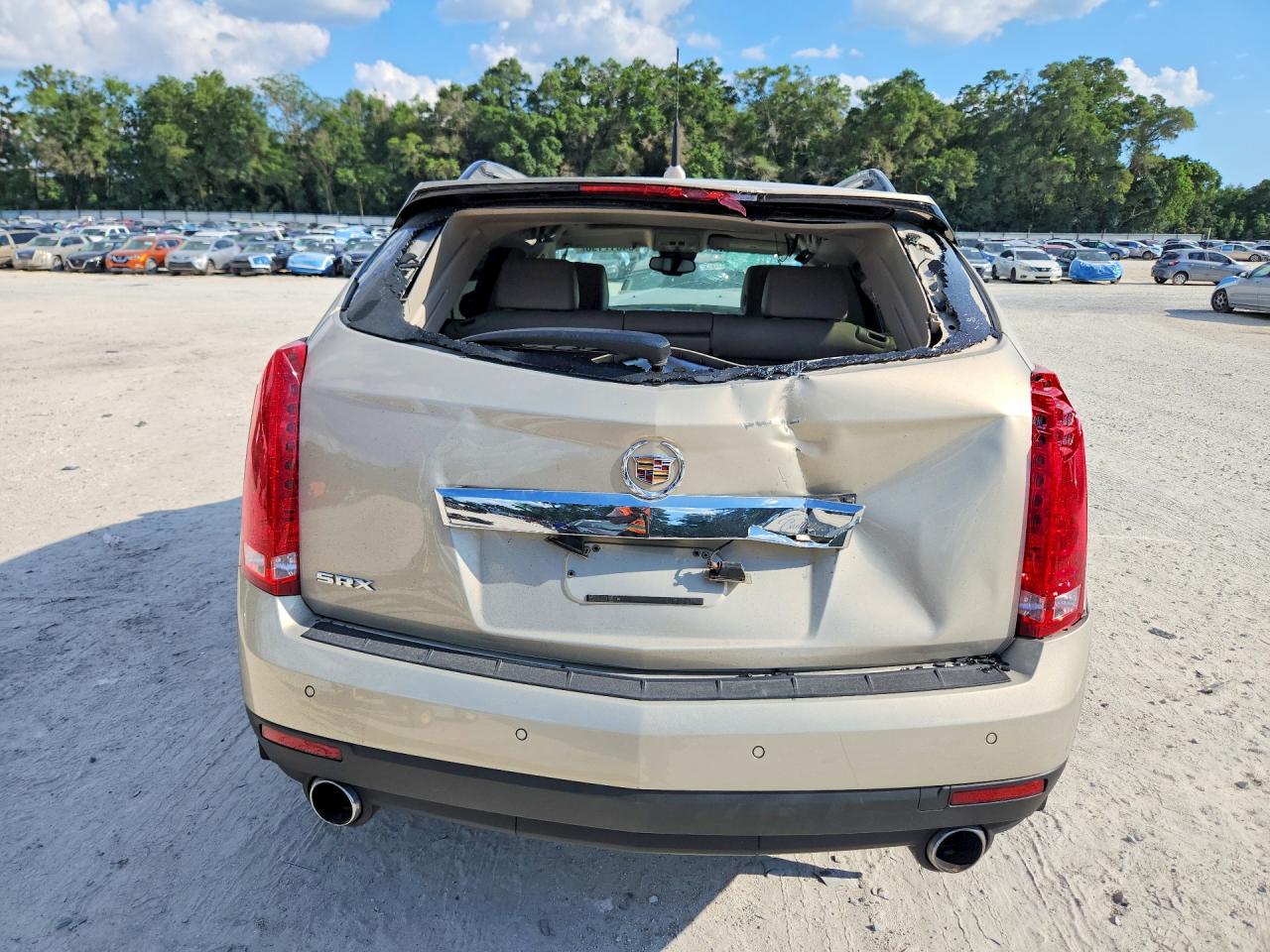 2010 Cadillac Srx Luxury Collection Beige vin: 3GYFNAEY7AS606920