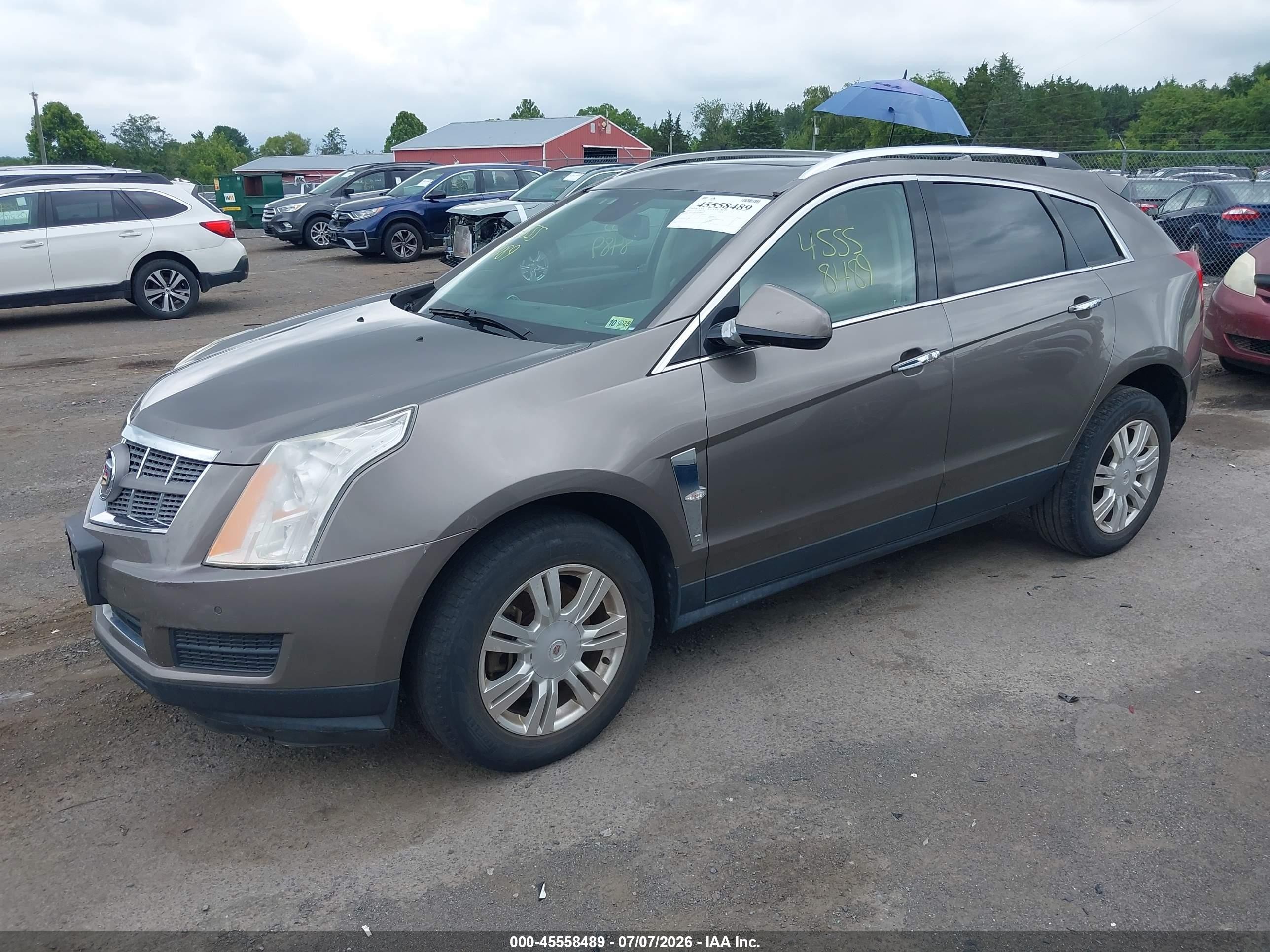 2011 Cadillac Srx Luxury Collection Gray vin: 3GYFNAEY7BS580952