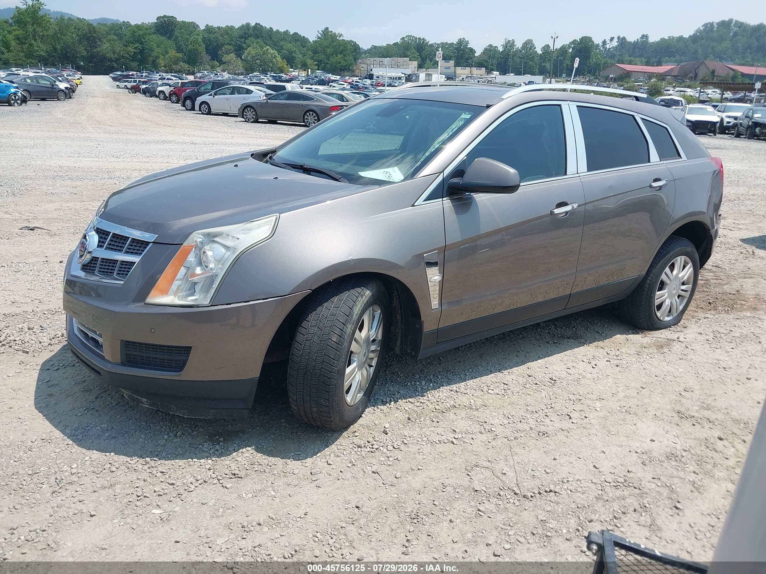 2011 Cadillac Srx Luxury Collection Champagne vin: 3GYFNAEY8BS625106