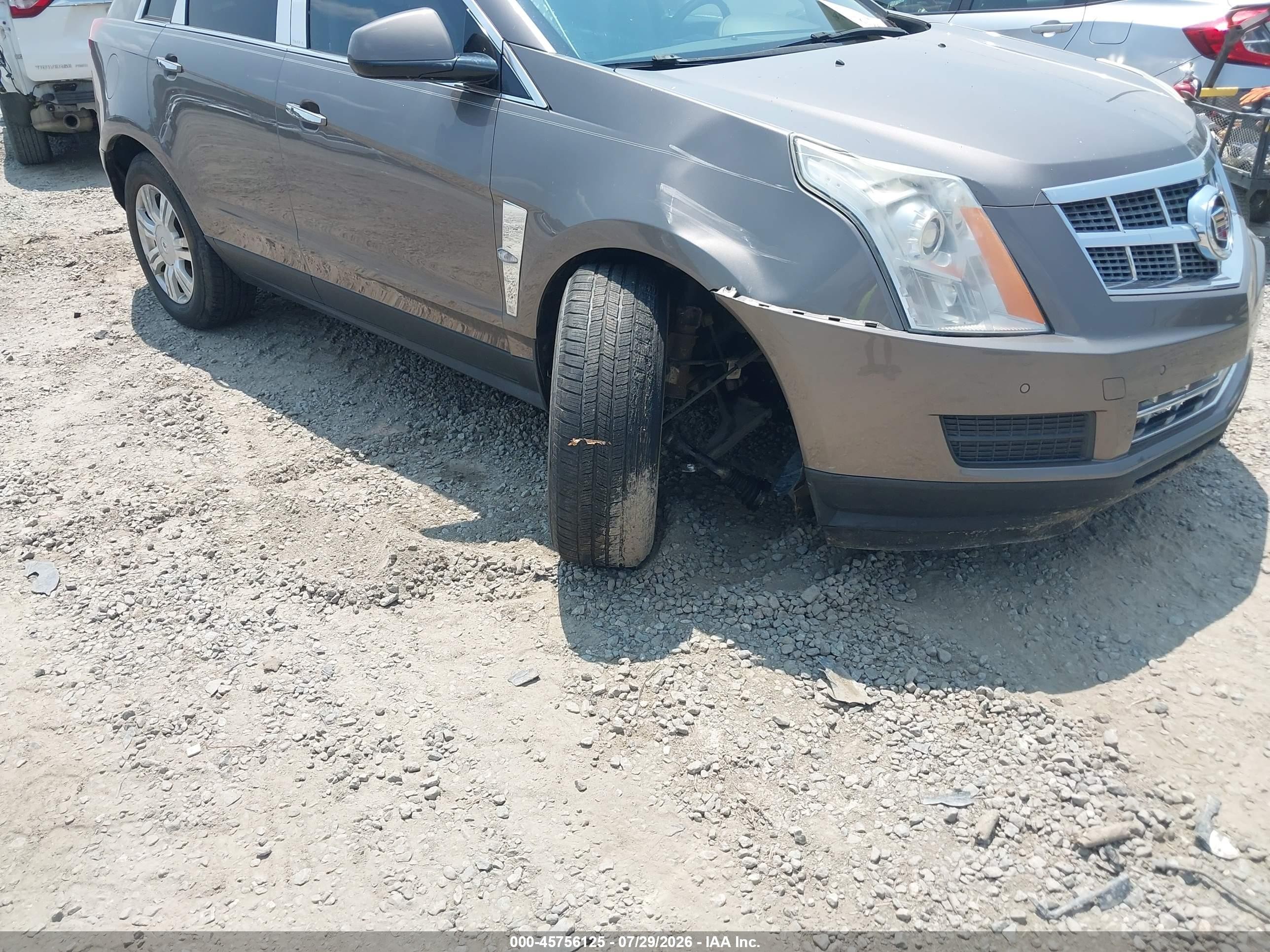 2011 Cadillac Srx Luxury Collection Champagne vin: 3GYFNAEY8BS625106