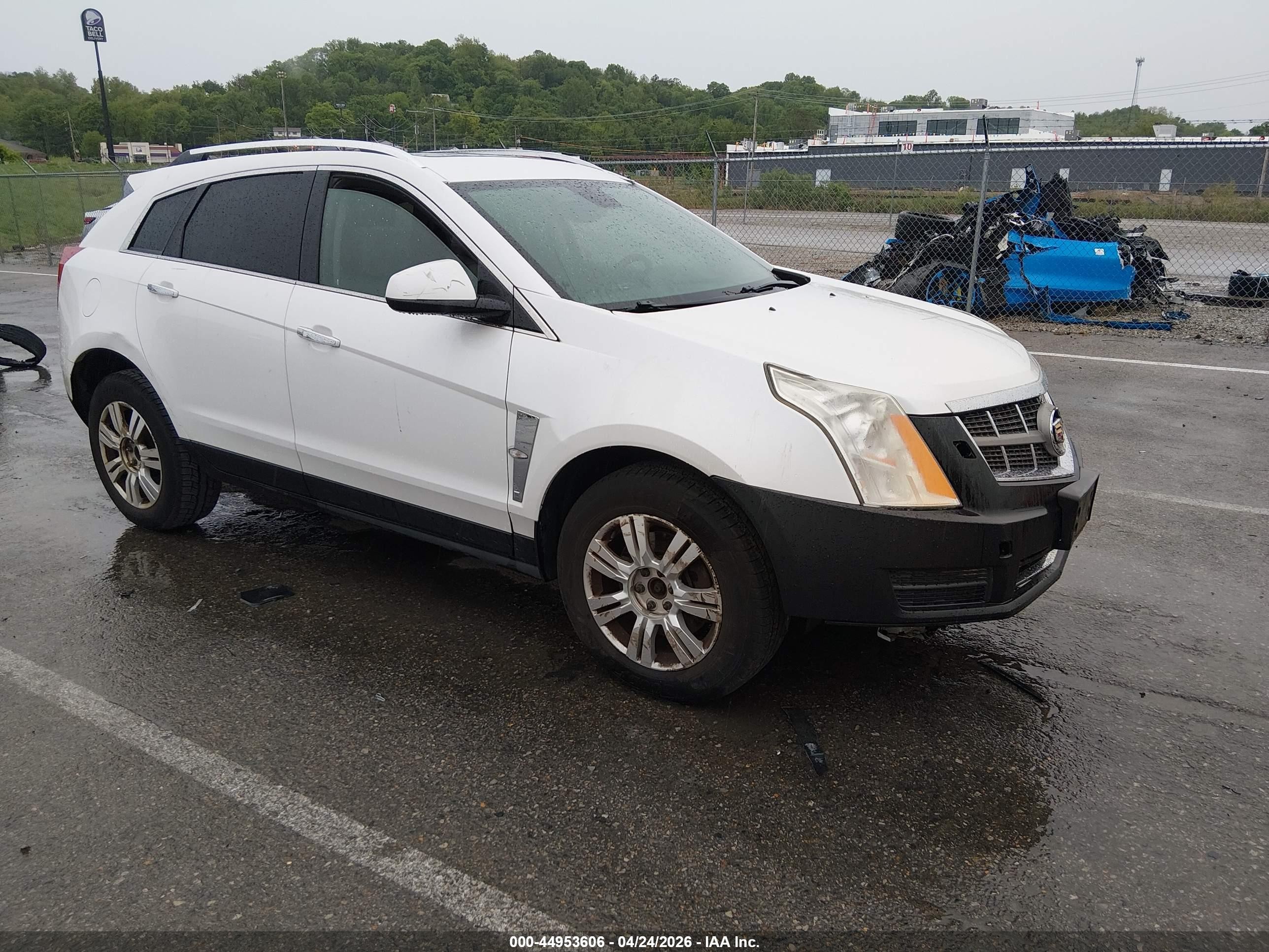 2011 Cadillac Srx Luxury Collection White vin: 3GYFNAEY9BS534474