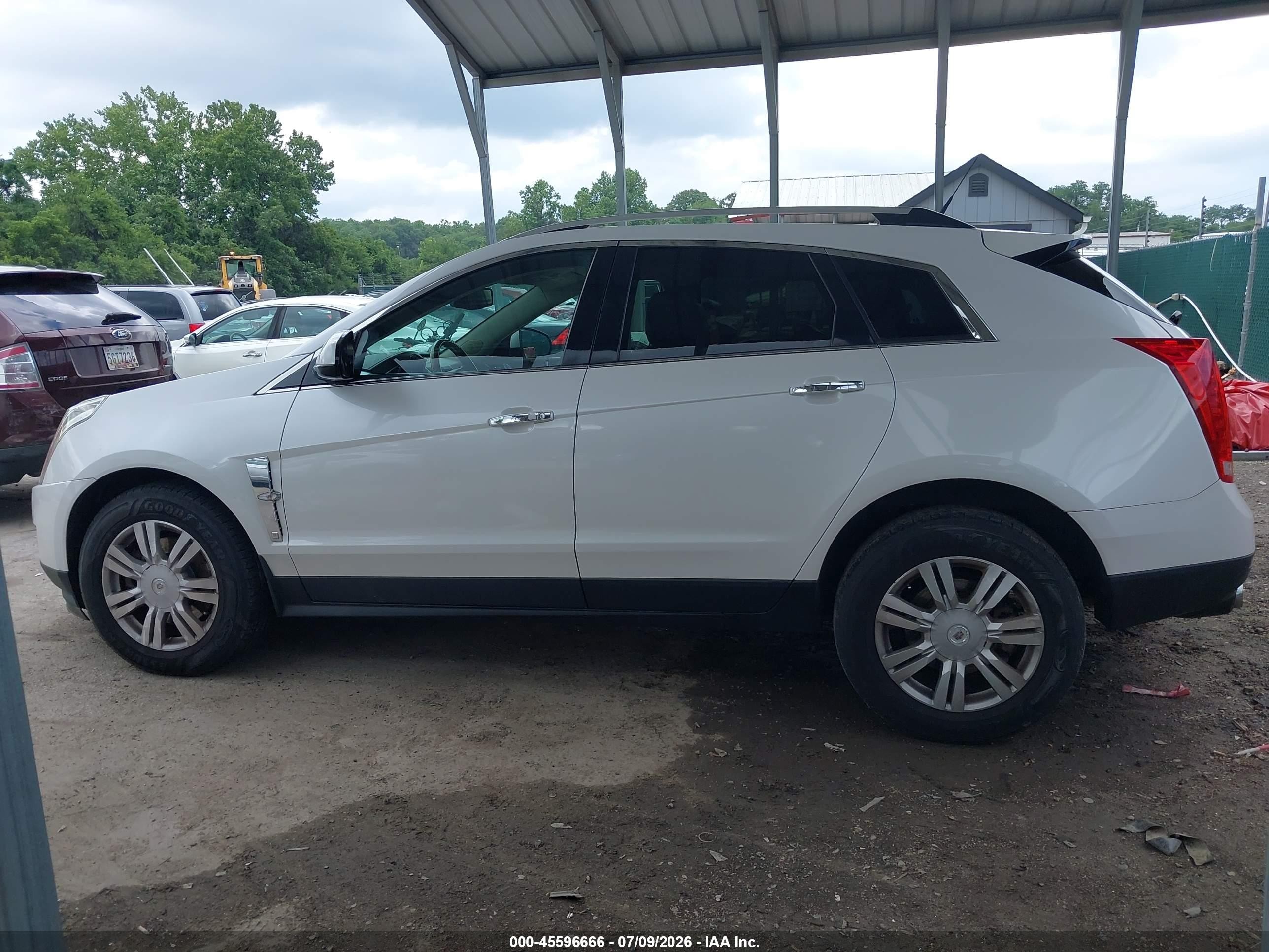 2011 Cadillac Srx Luxury Collection White vin: 3GYFNAEY9BS615149