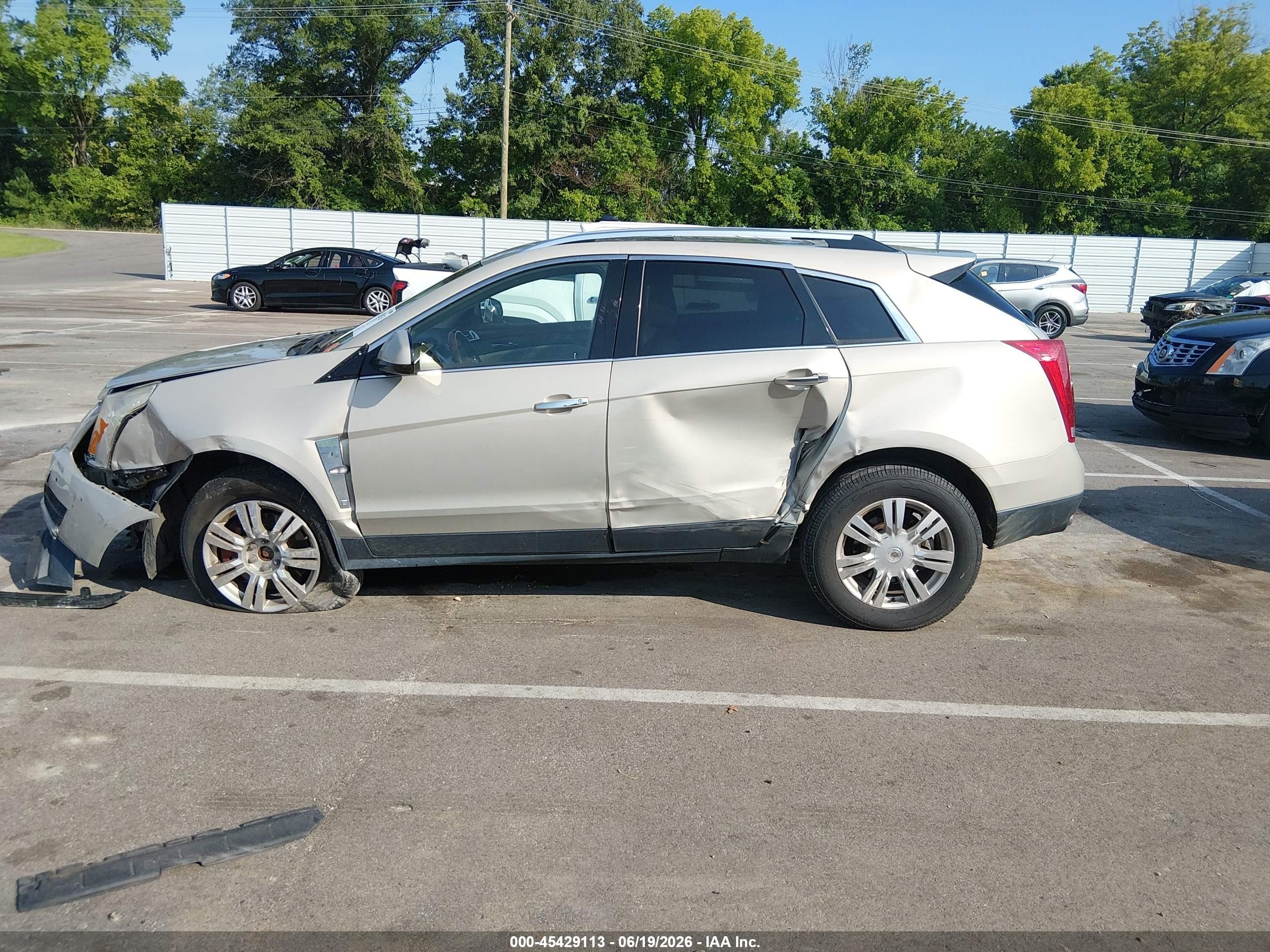 2010 Cadillac Srx Luxury Collection Champagne vin: 3GYFNAEYXAS584721