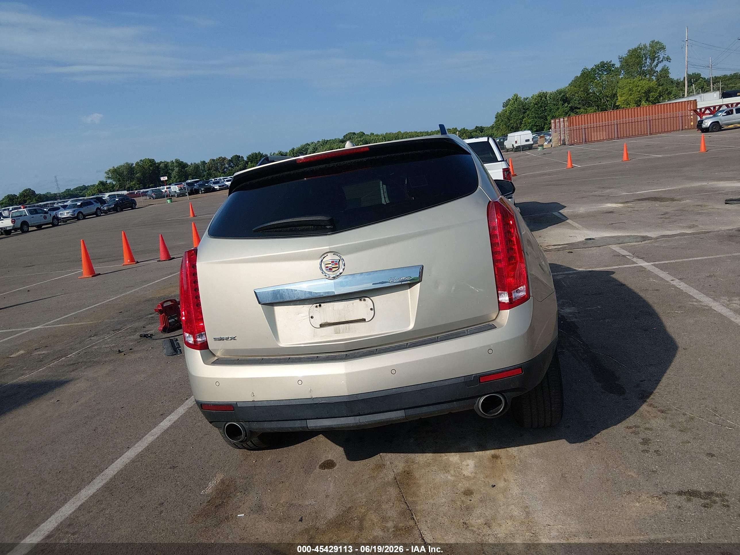 2010 Cadillac Srx Luxury Collection Champagne vin: 3GYFNAEYXAS584721