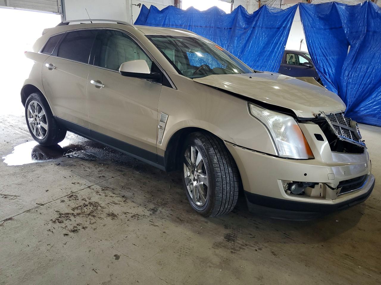 2010 Cadillac Srx Performance Collection Gold vin: 3GYFNBEY3AS581293